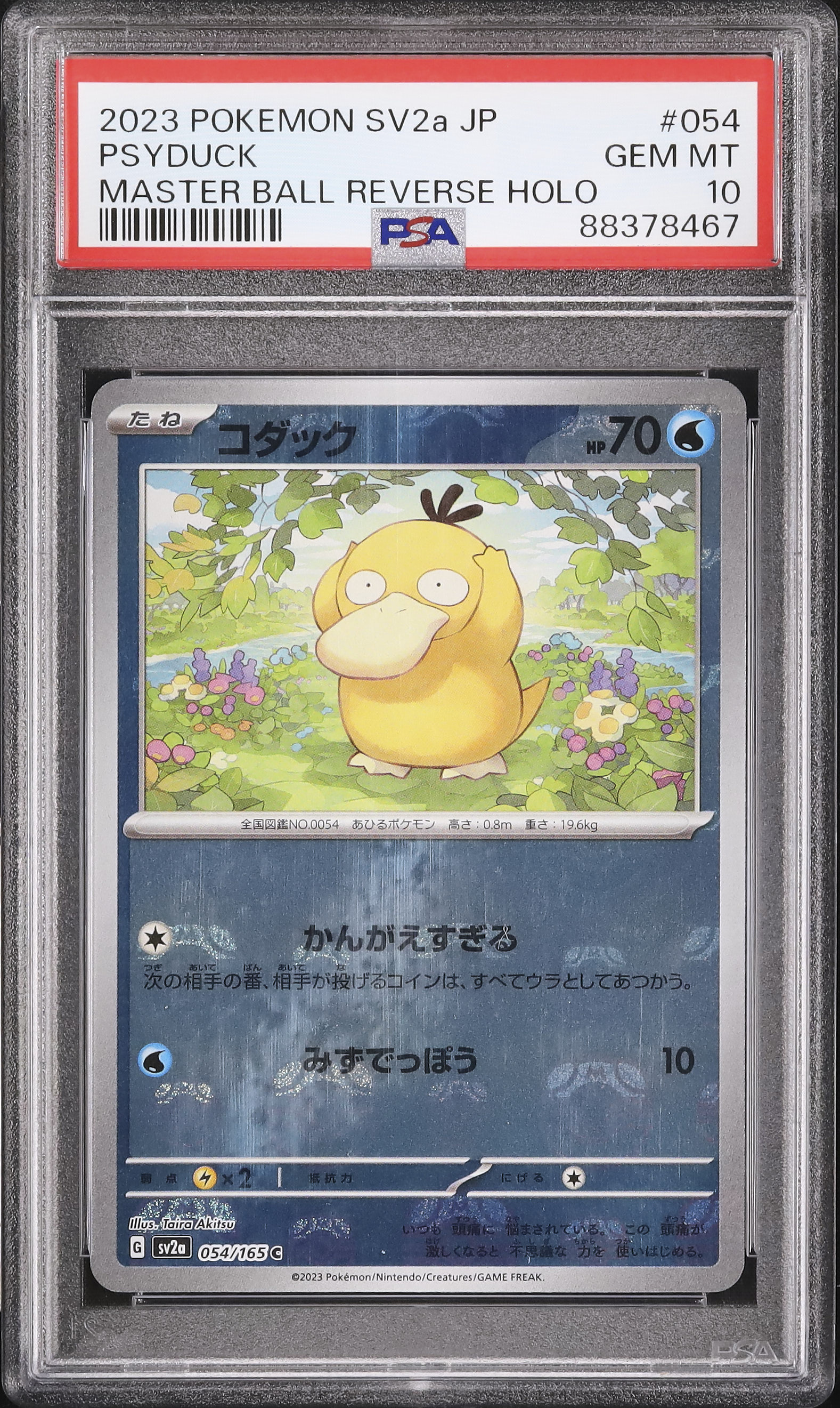 2023 コダック PSA 10 マスターボール - カルドバ