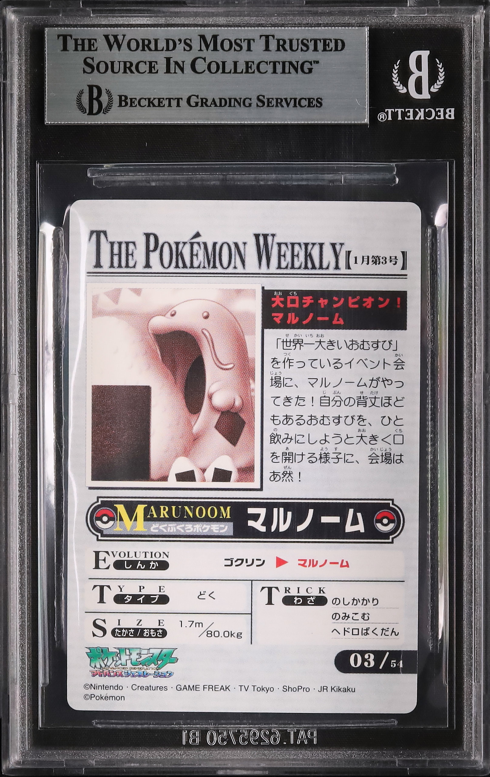 2005 マルノーム BGS 9 - カルドバ