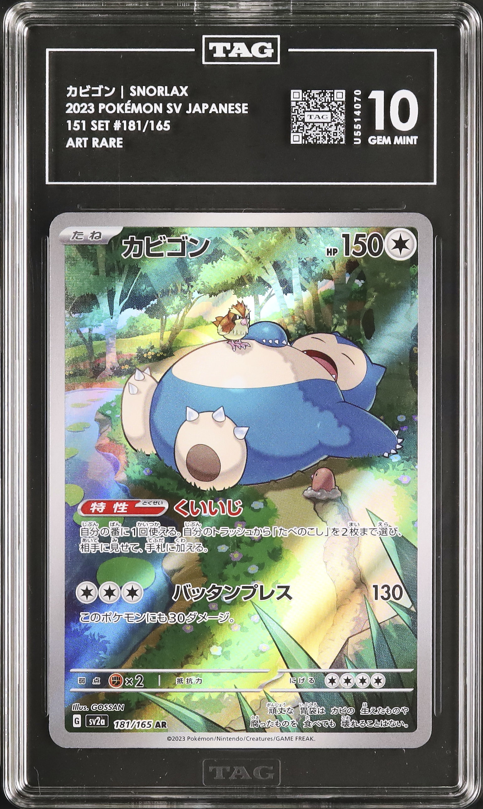 2023 Snorlax TAG 10 - Cardova Japan