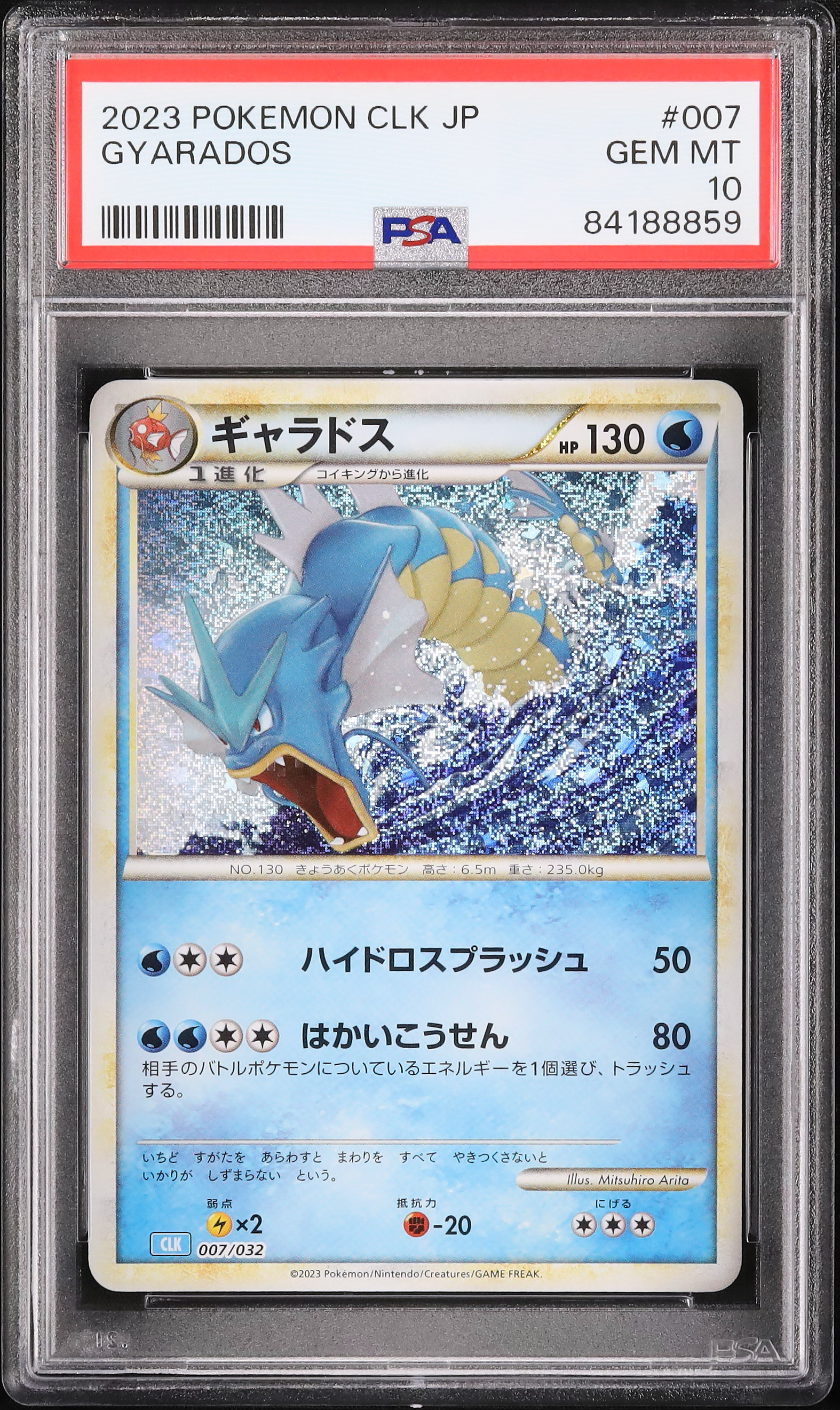 2023 ギャラドス PSA 10 - カルドバ