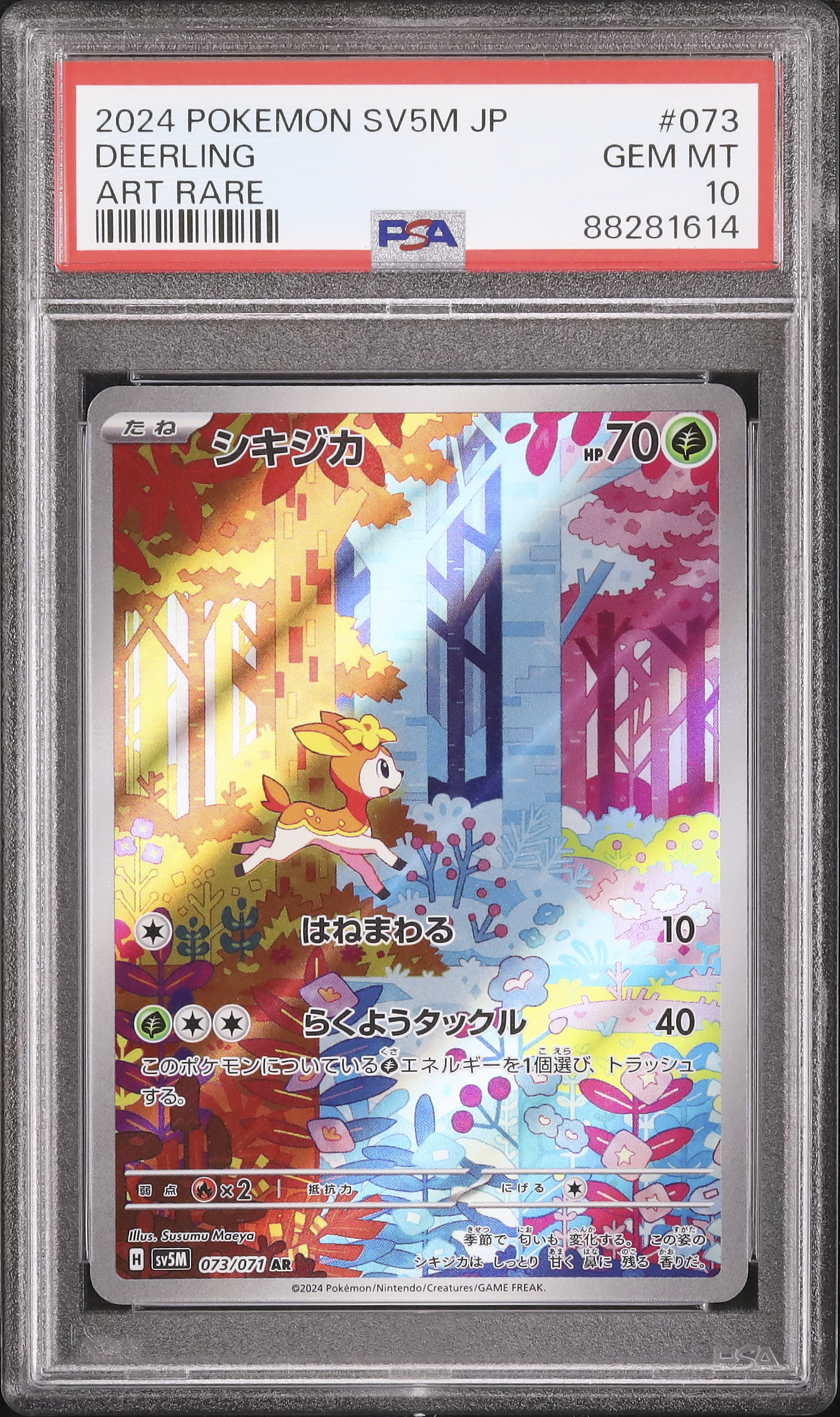 2024 シキジカ PSA 10 - カルドバ