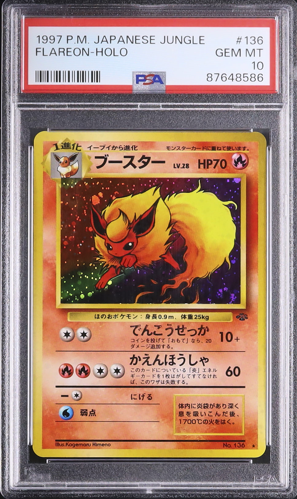 1997 ブースター PSA 10 ホロ - カルドバ