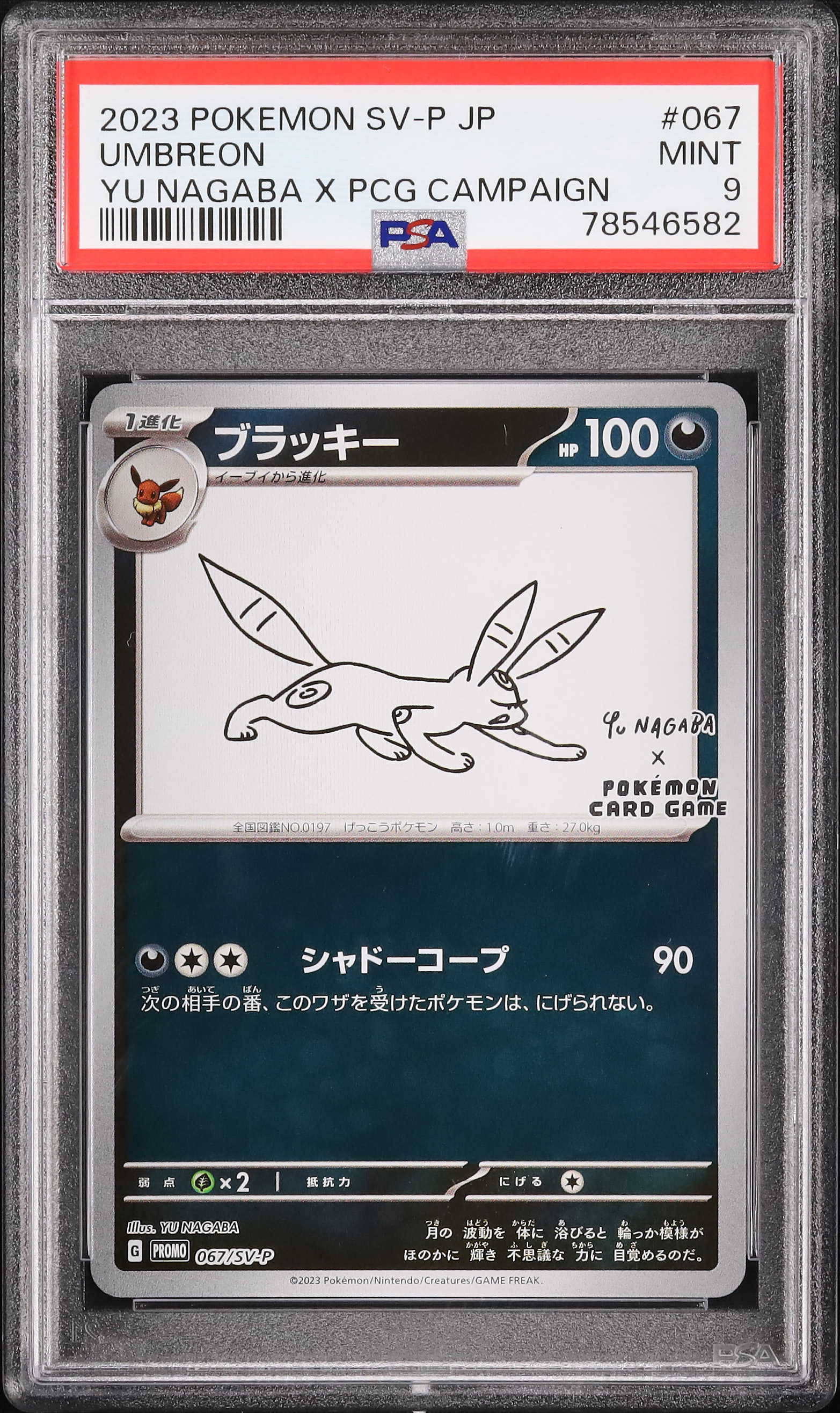 2023 ブラッキー PSA 9 - カルドバ