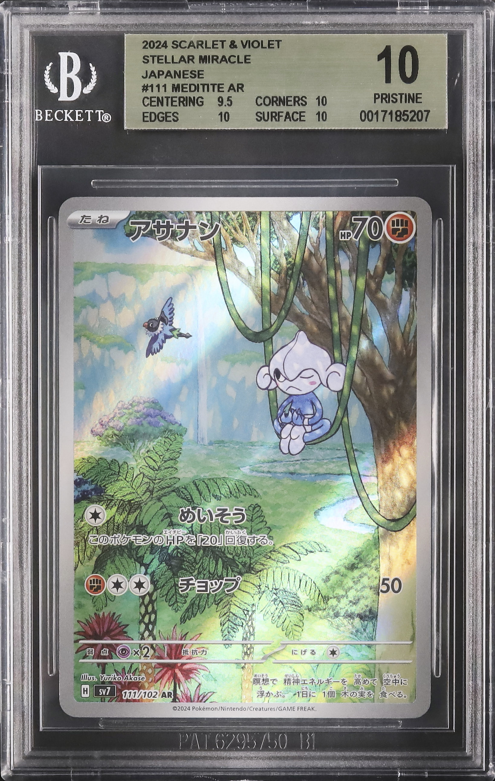 2024 アサナン BGS 10 - カルドバ