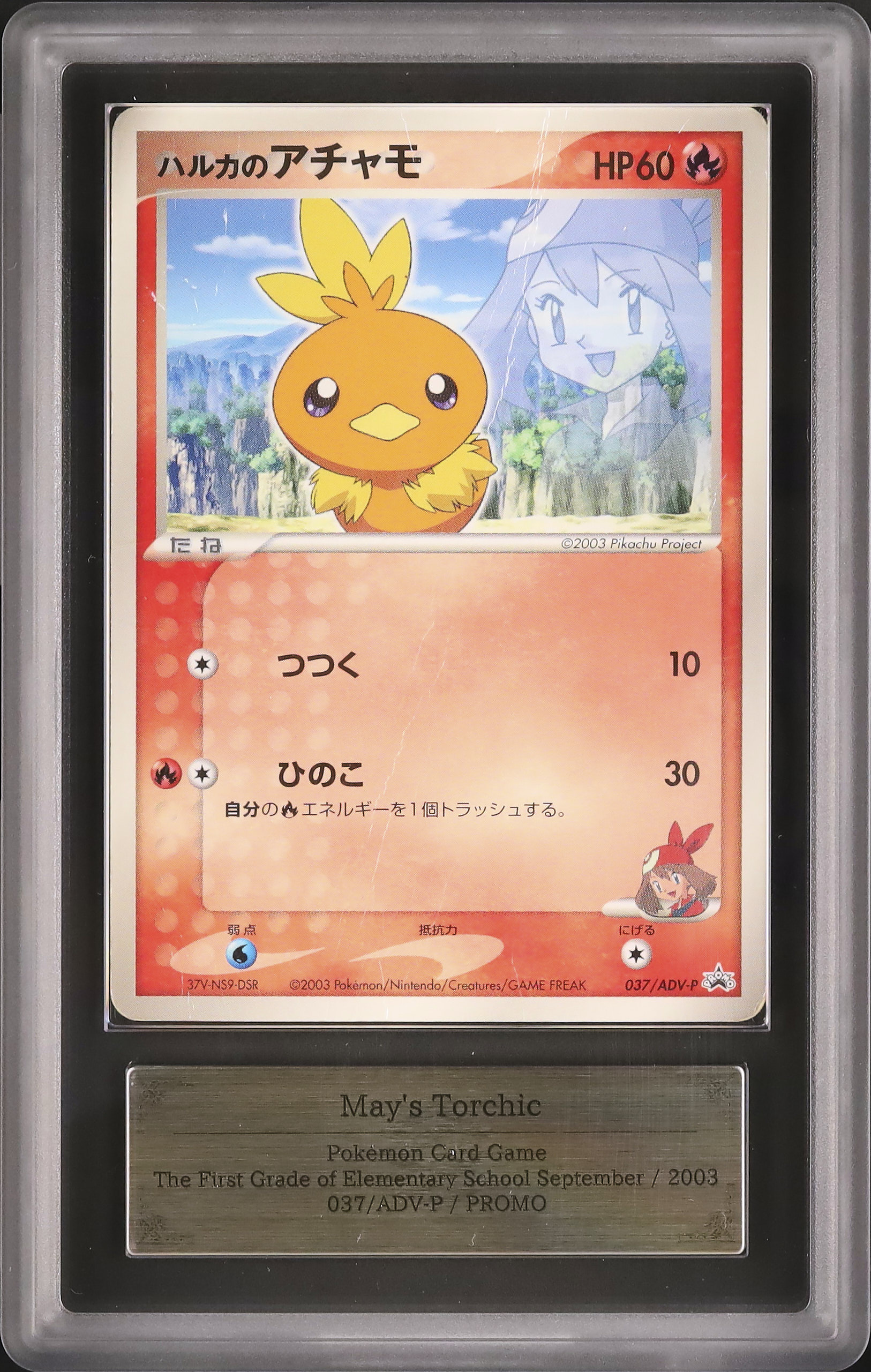 【ARS AU 真贋鑑定】英語版アチャモ Torchic 12/1111 アチャモ 海外版 英語版 25th プロモ Torchic - 11/25 -【Card Chicken】