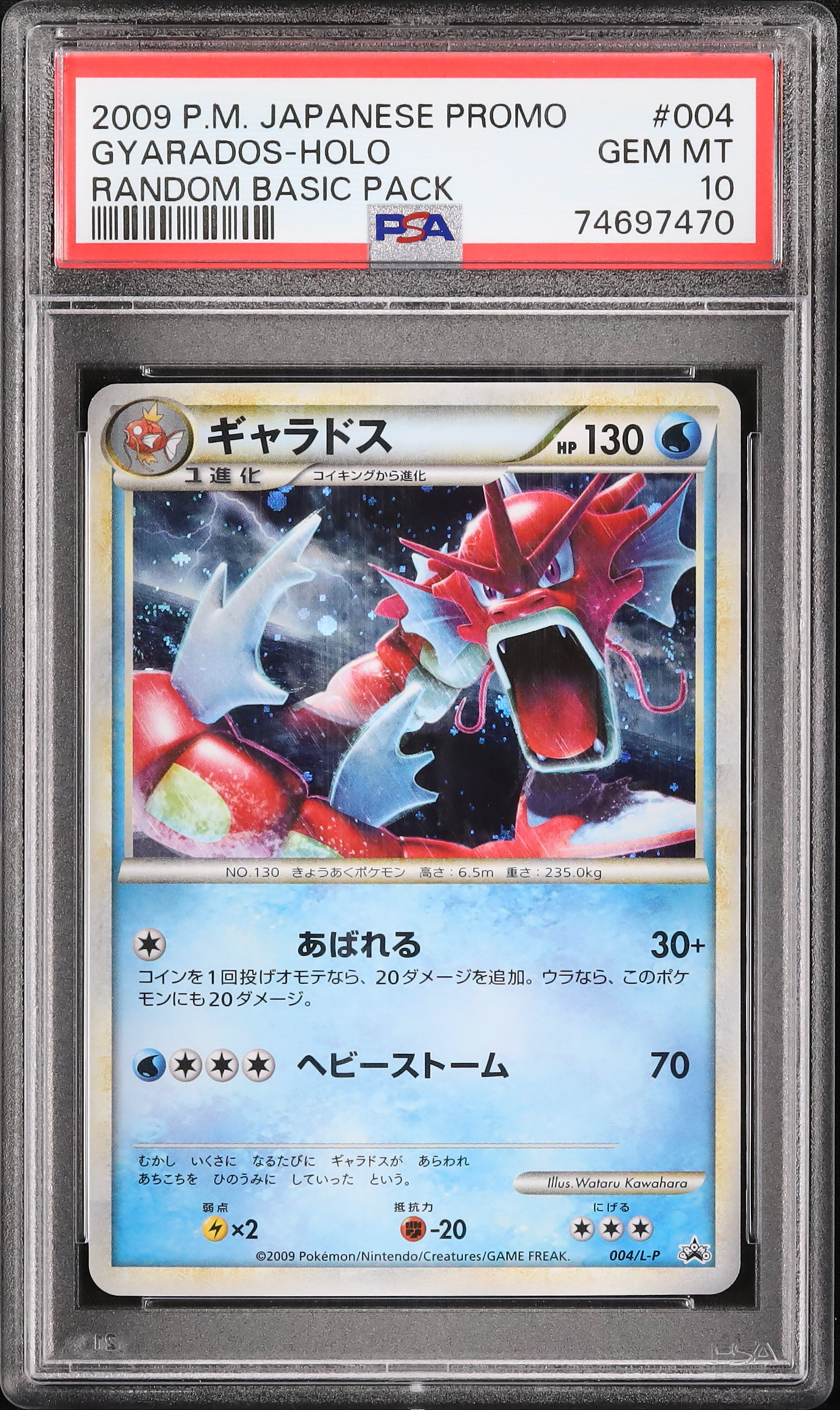 2009 ギャラドス PSA 10 色違い - カルドバ