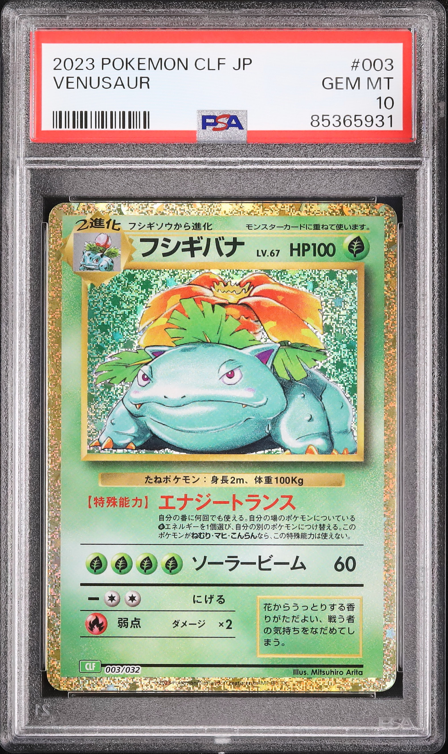 2023 フシギバナ PSA 10 - カルドバ