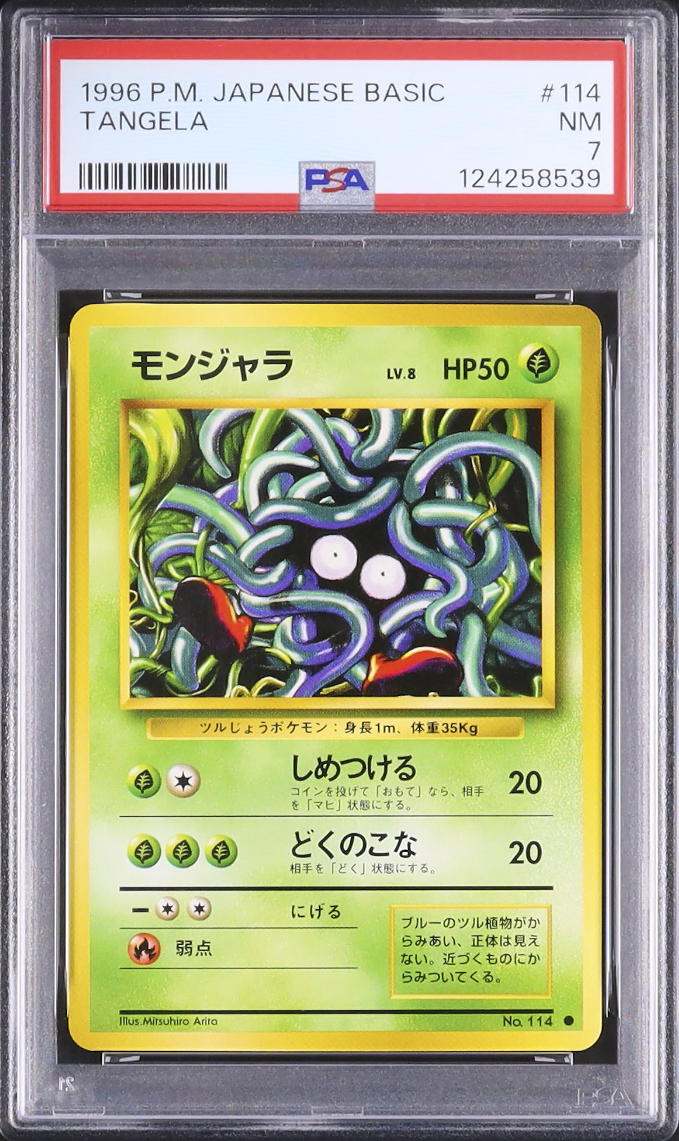 開催中のオークション - カルドバ