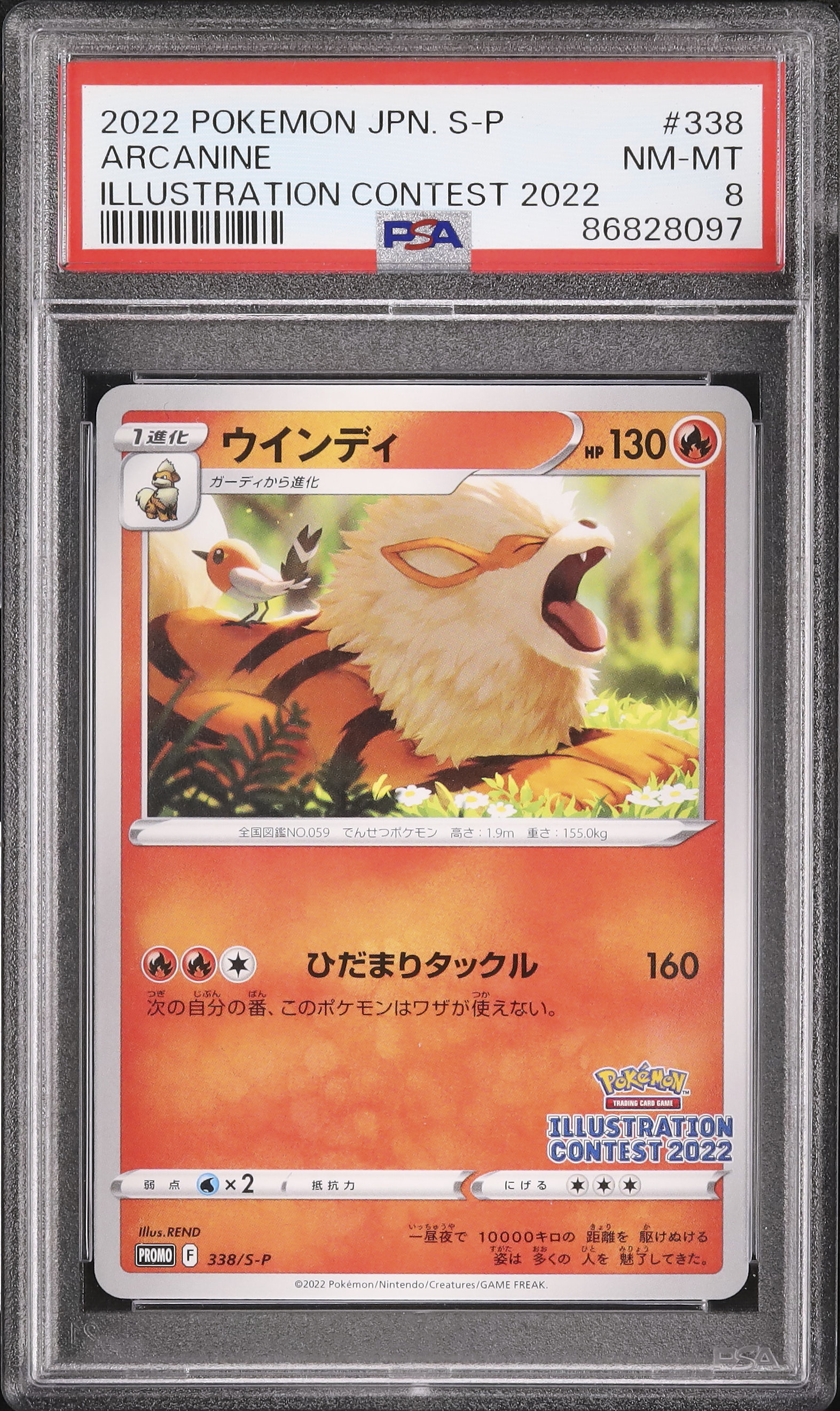 ポケモンカード PSA8 カードe ウインディ ポケモンカード ウィンディ psa8 カードe