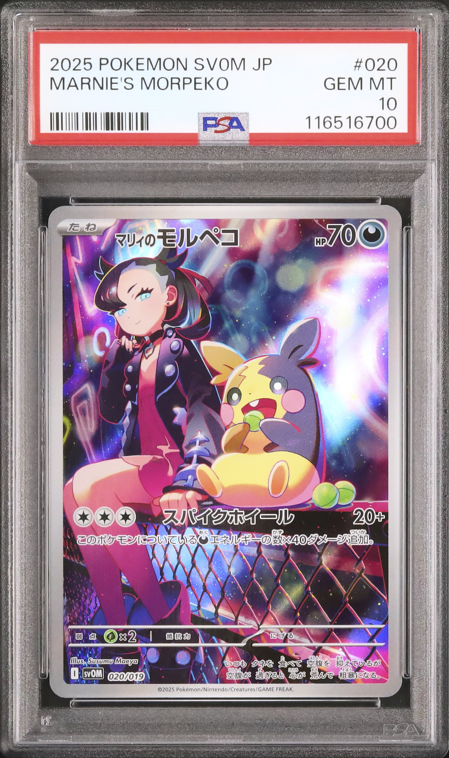 2025 ポケモンカード マリィのモルペコ PSA 10 2025 マリィのモルペコ PSA 10 AR仕様 - カルドバ