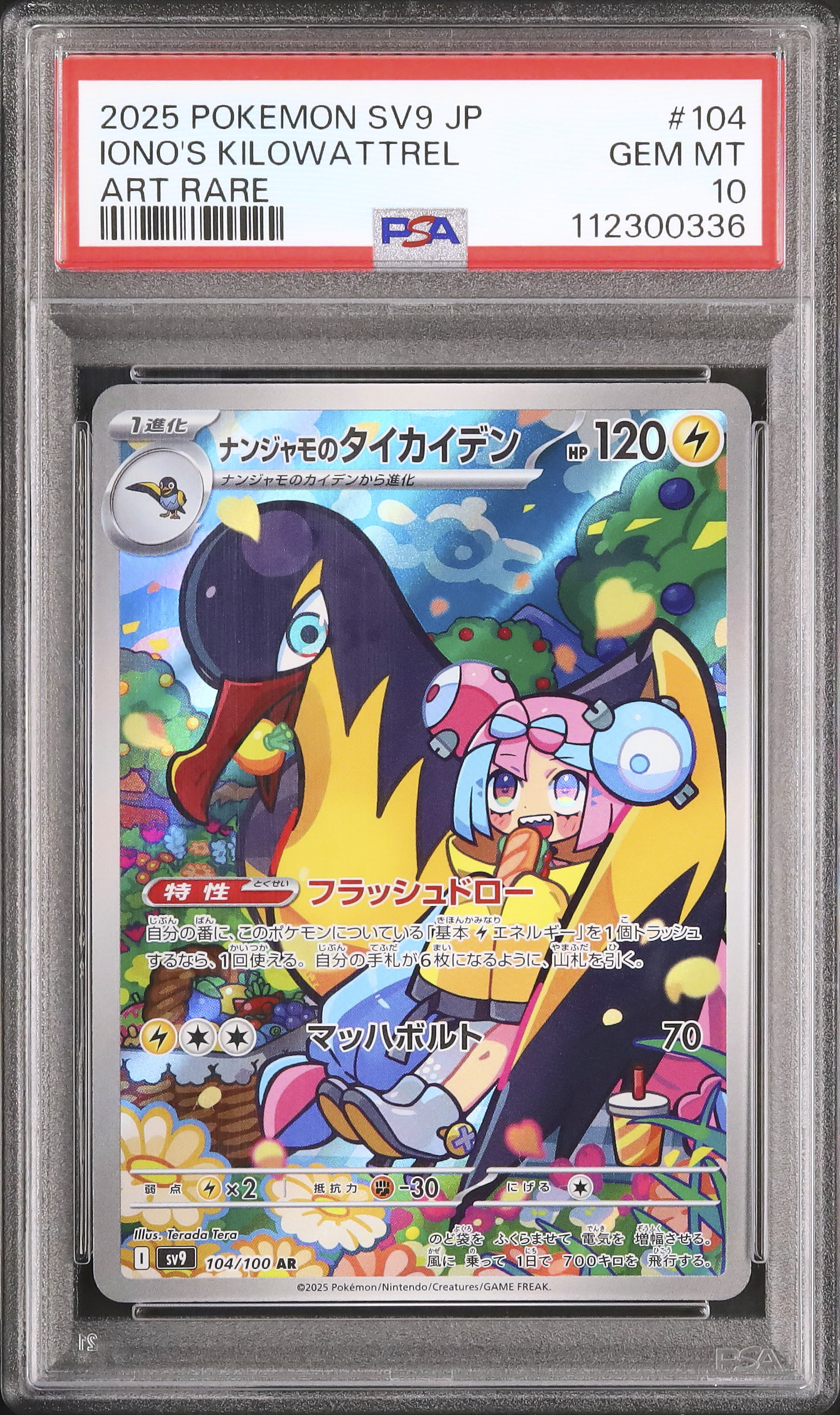 ナンジャモのダイカイデン ポケカ ナンジャモのタイカイデン | ポケモンカードゲーム公式ホームページ