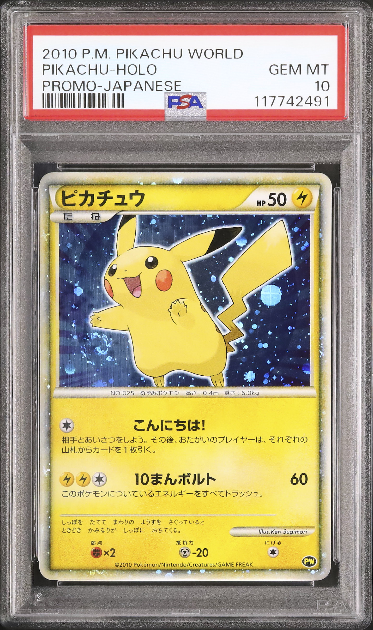 こんにちは！ピカチュウ ピカチュウワールドコレクション2010 【公式通販】