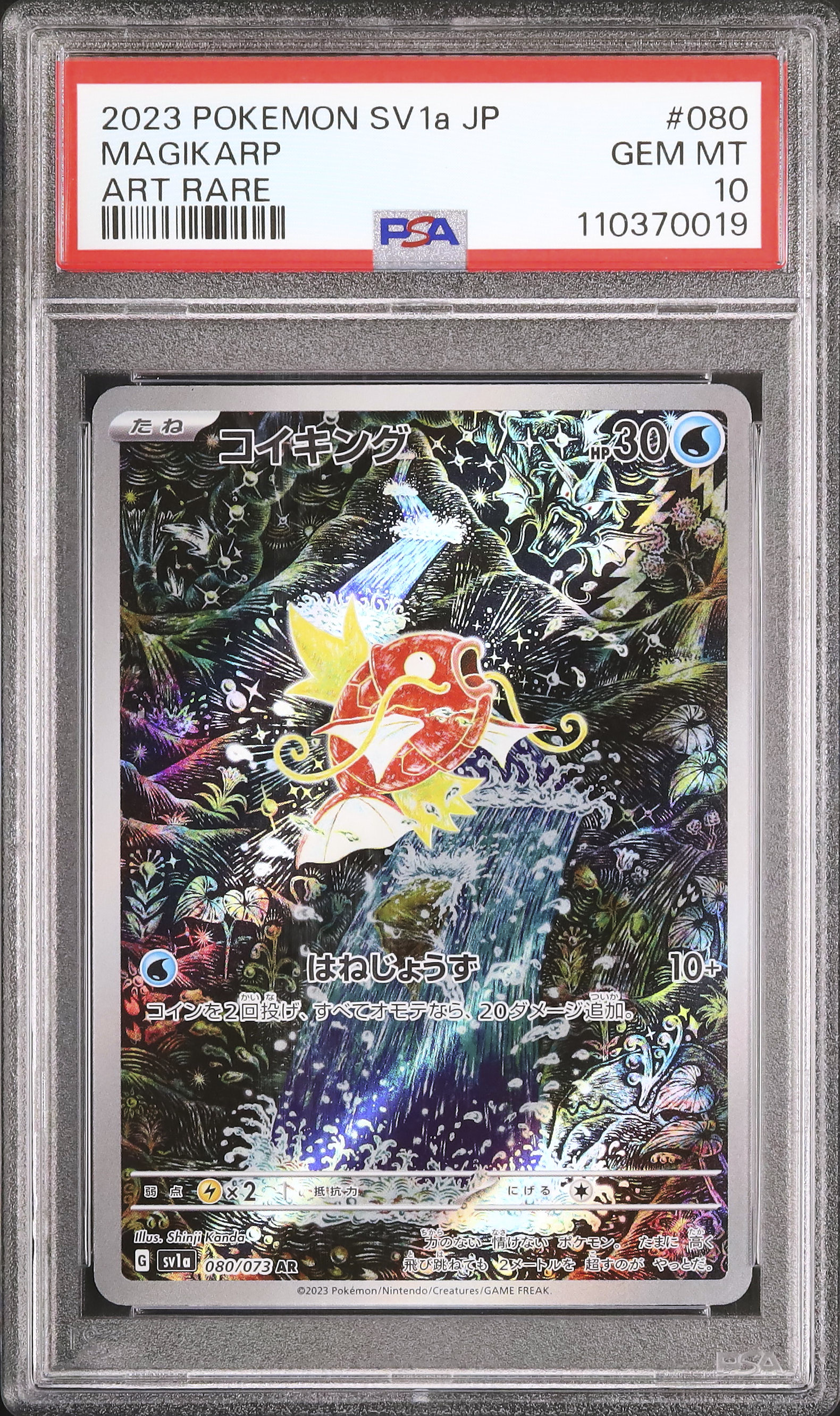 コイキング カードe PSA 2023 コイキング PSA 10 - カルドバ