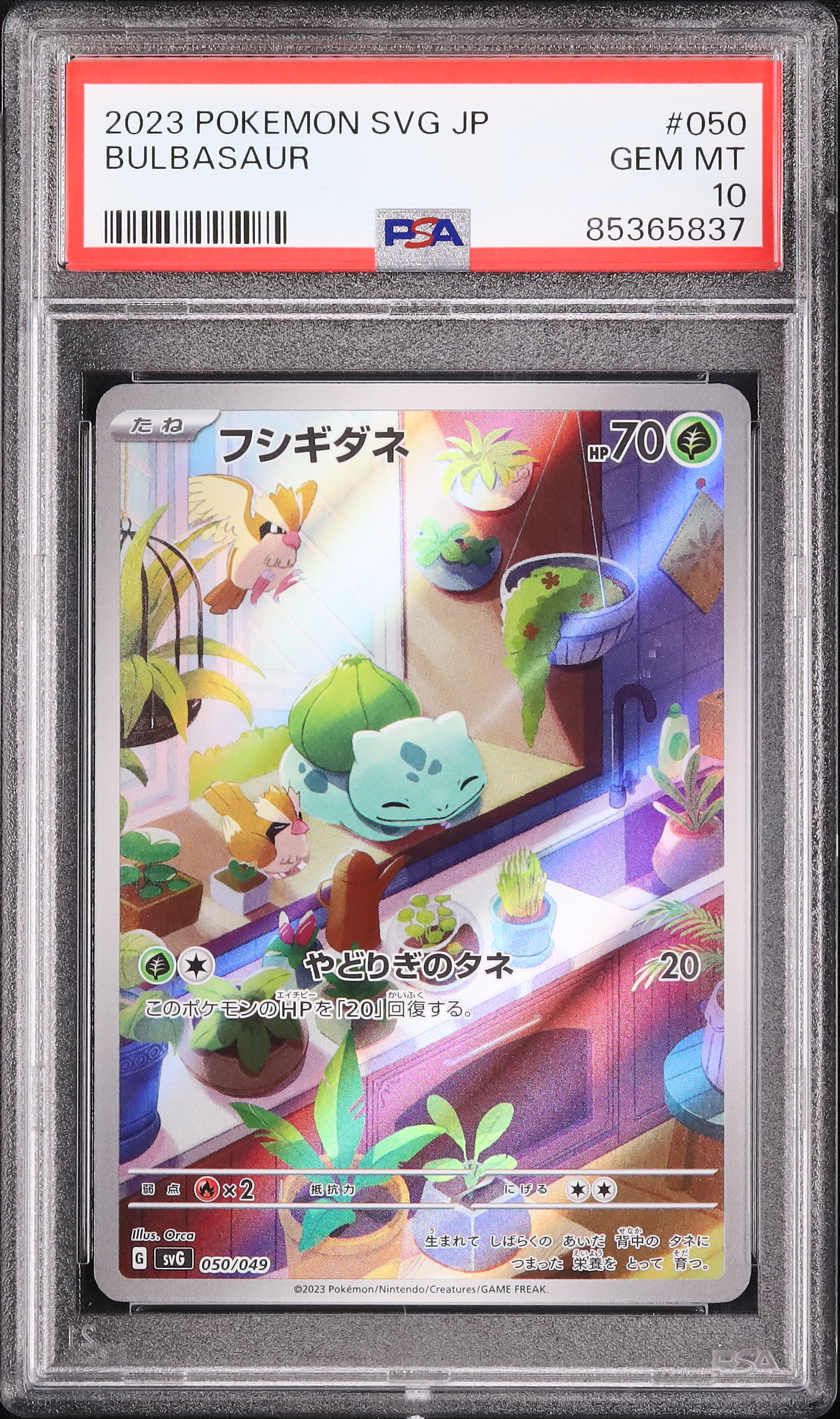 2023 ポケモンカード フシギダネ PSA10 2023 フシギダネ PSA 10 AR仕様 - カルドバ