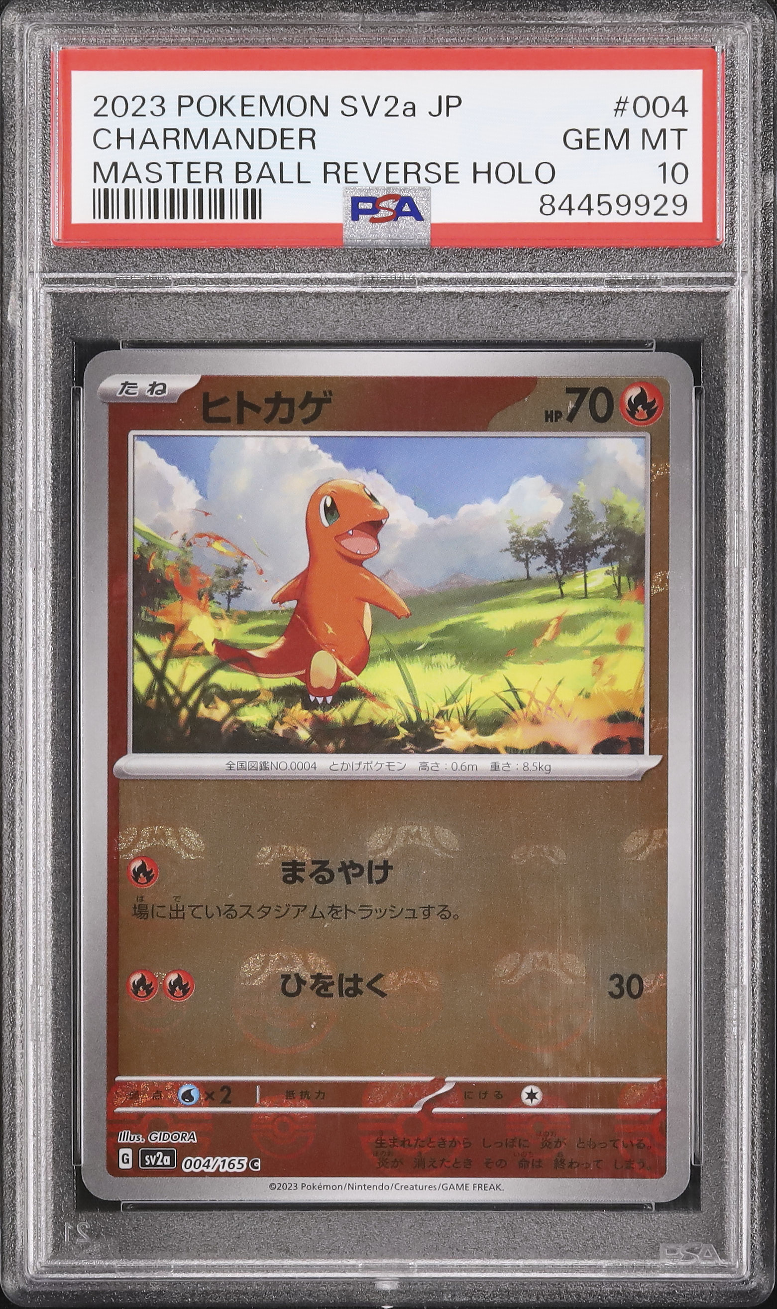 2023 ヒトカゲ PSA 10 マスターボール - カルドバ