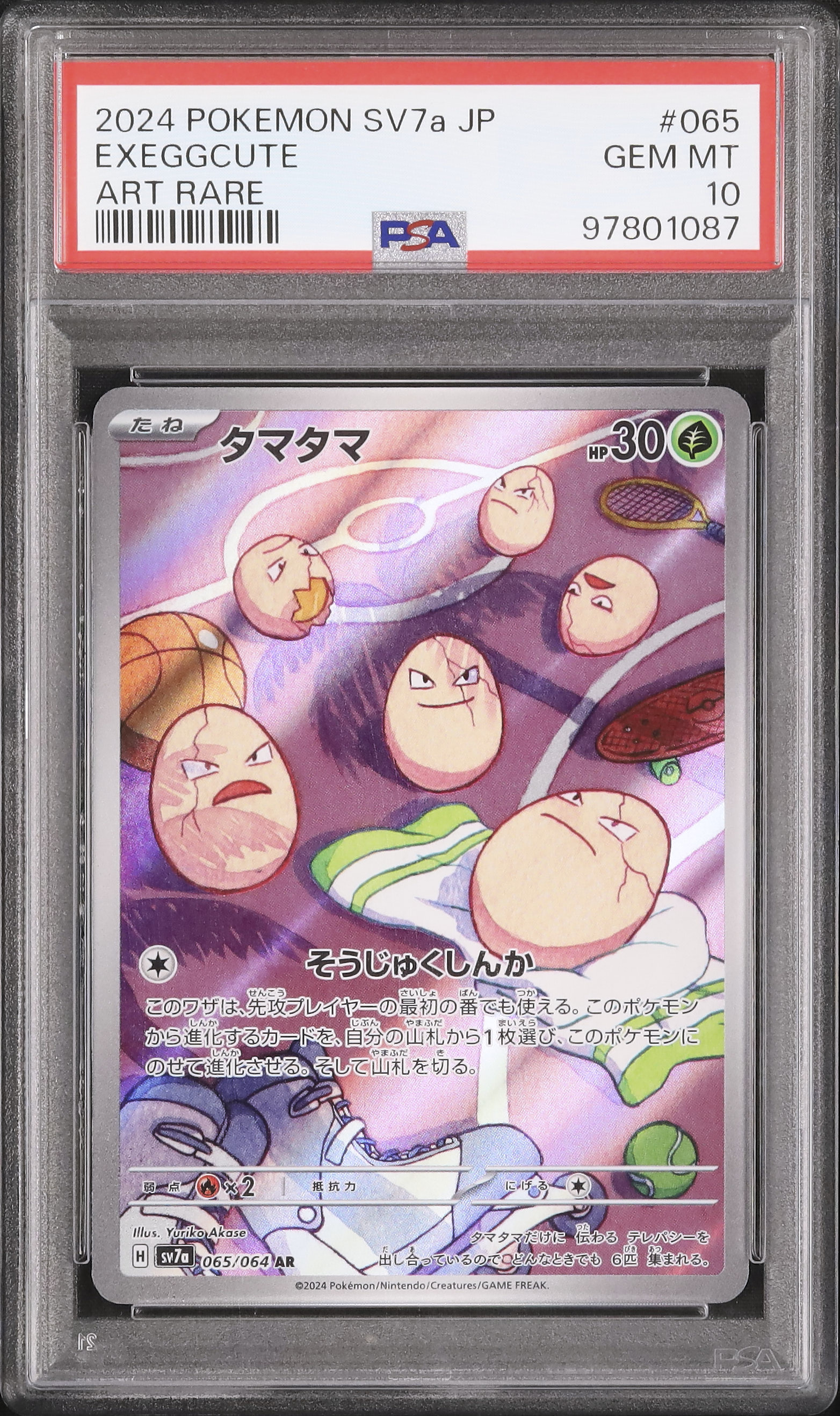 【PSA10】ポケモンカード　カードダス　タマタマ 2024 タマタマ PSA 10 - カルドバ