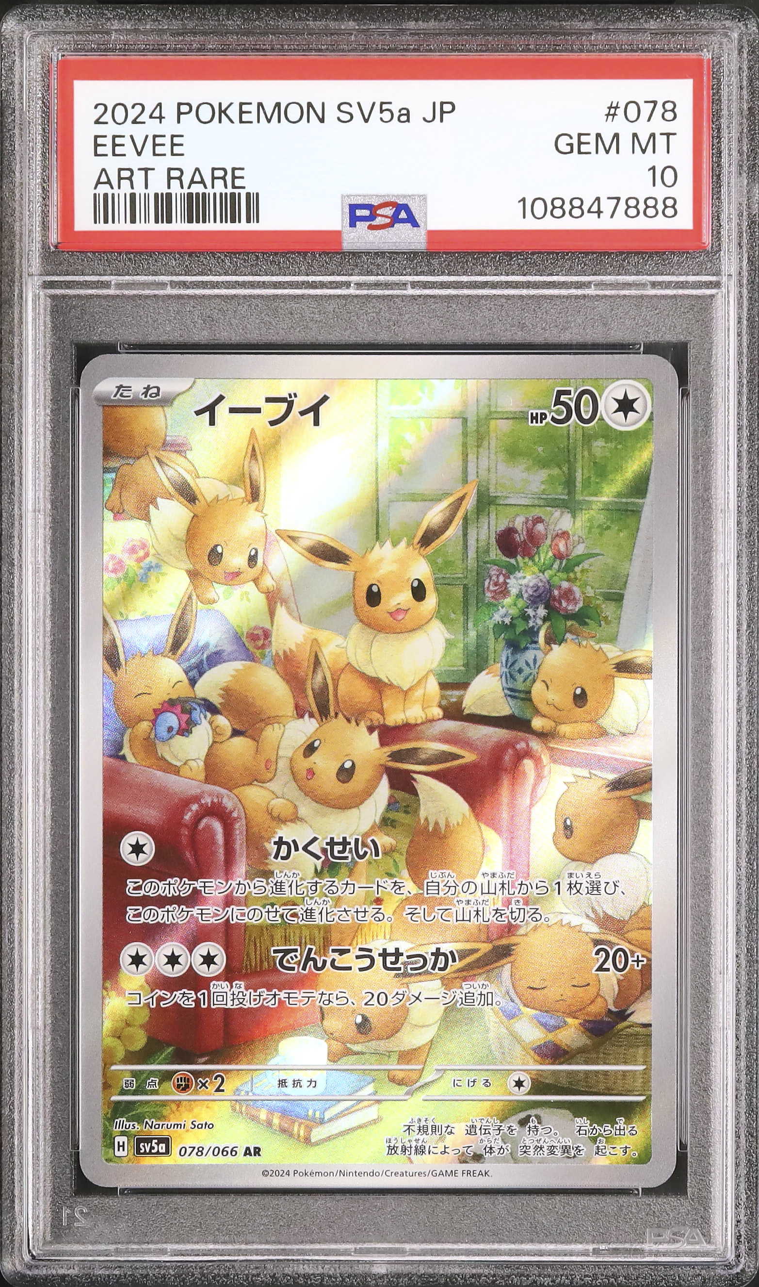 2024 イーブイ PSA 10 - カルドバ