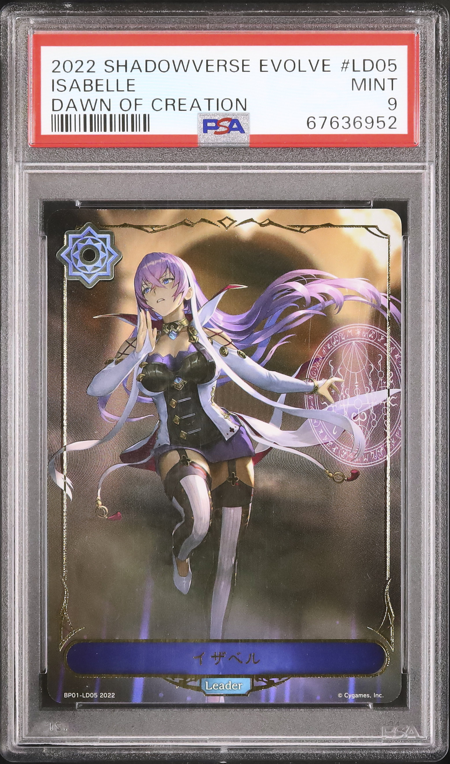 開催中のオークション - カルドバ