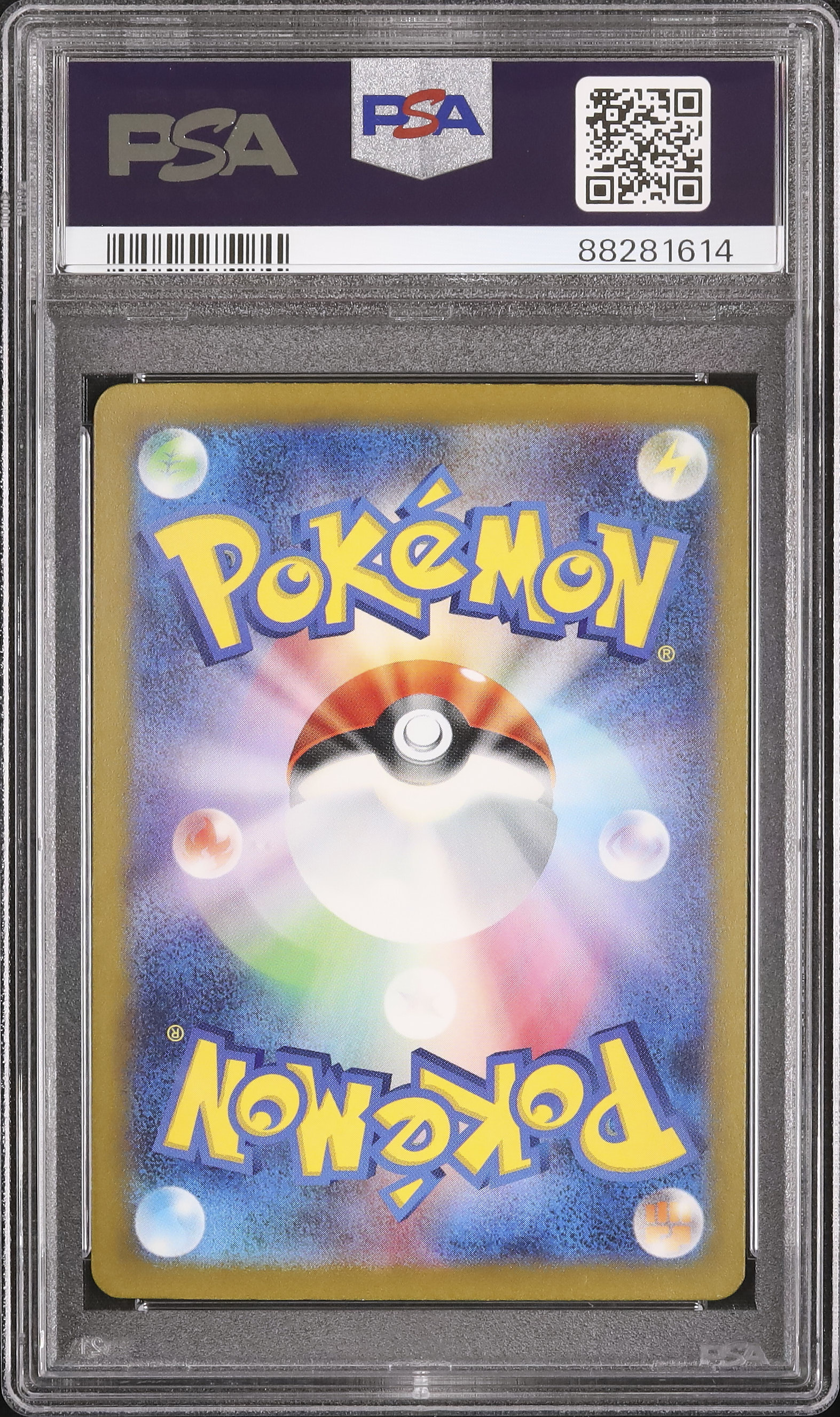 2024 シキジカ PSA 10 - カルドバ