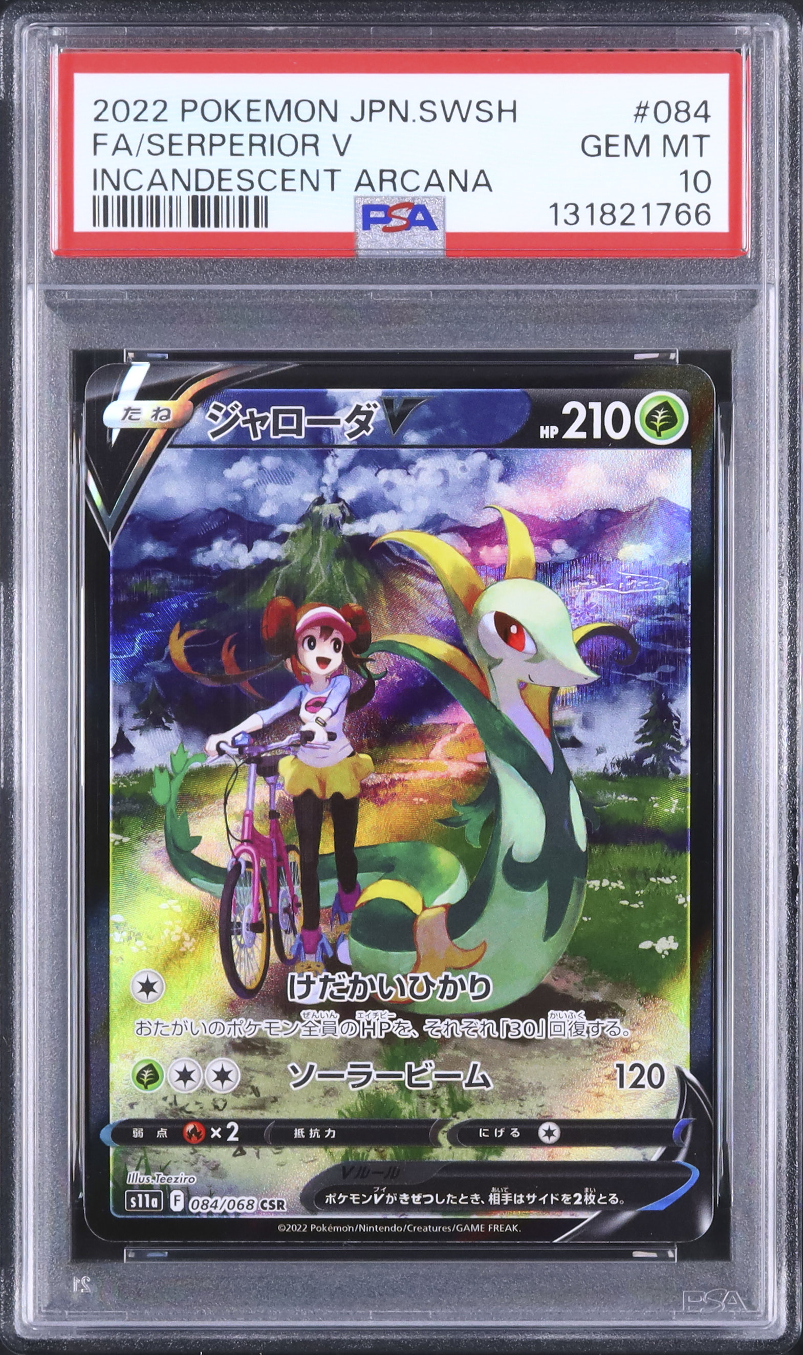 ポケモンカード　ジャローダv psa10 2022 ジャローダV PSA 10 フルアート - カルドバ