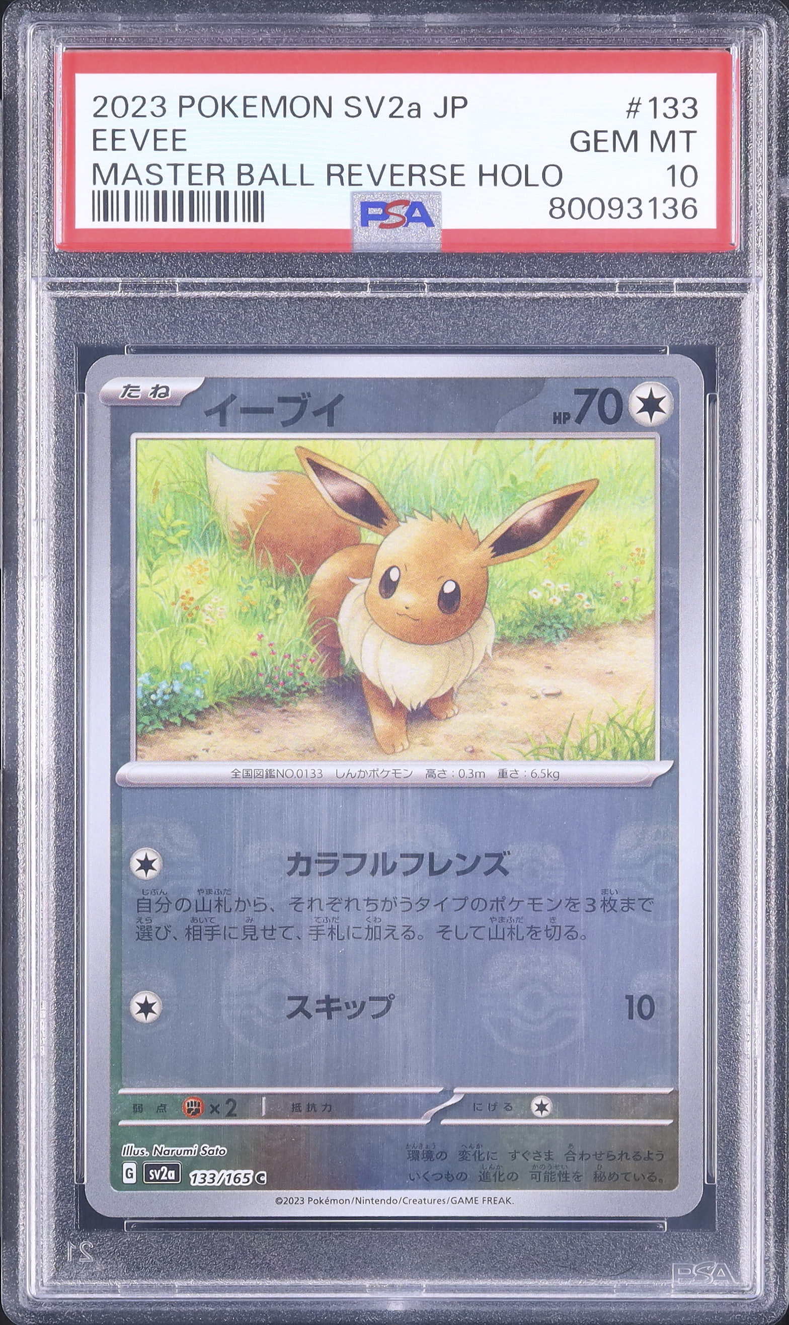 2023 イーブイ PSA 10 マスターボール - カルドバ
