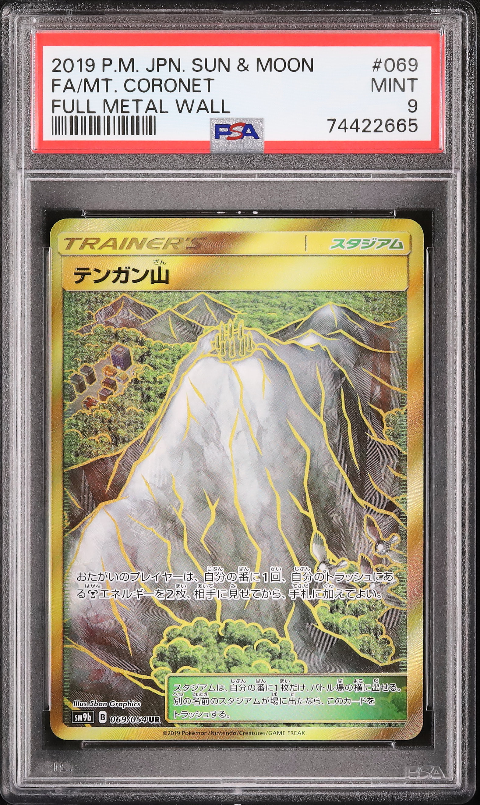 2019 テンガン山 PSA 9 フルアート - カルドバ