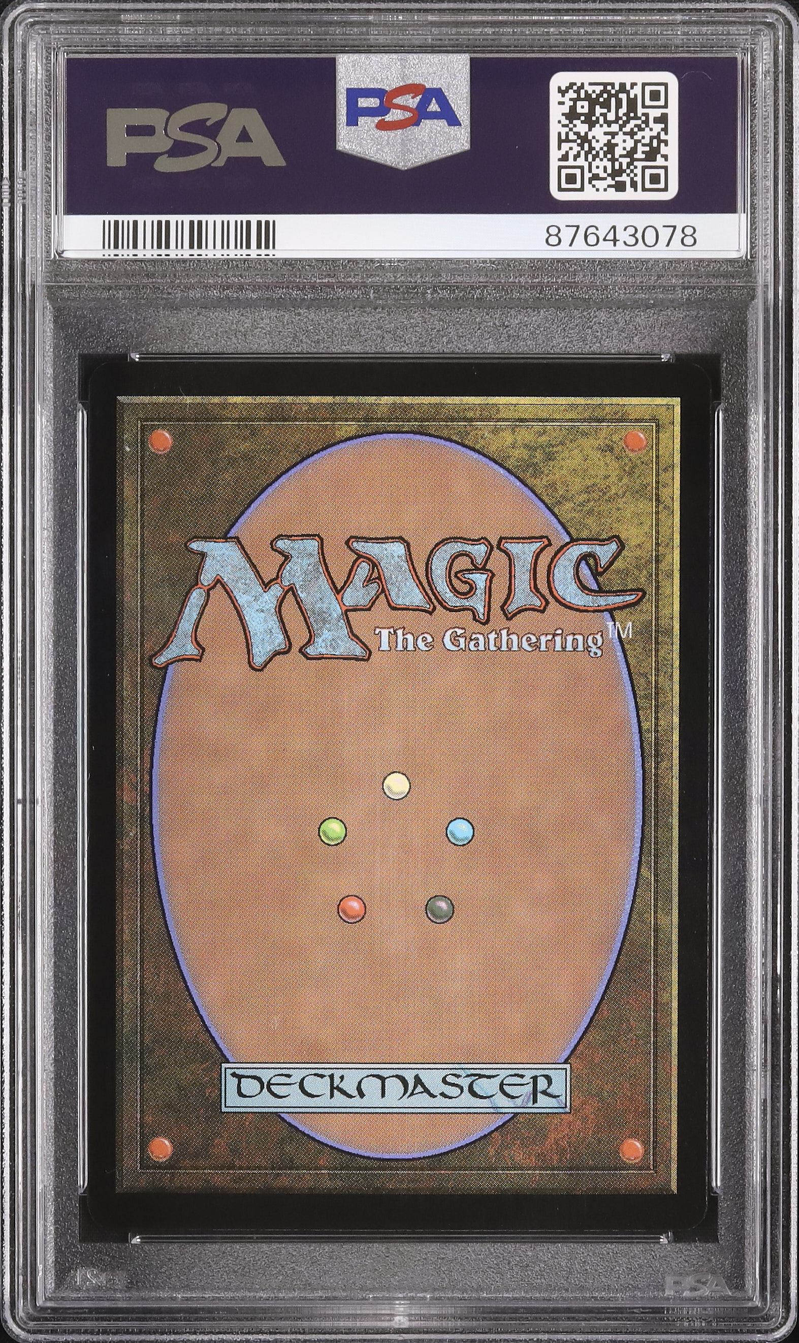 2023 シヴ山のドラゴン PSA 10 プロモ - カルドバ