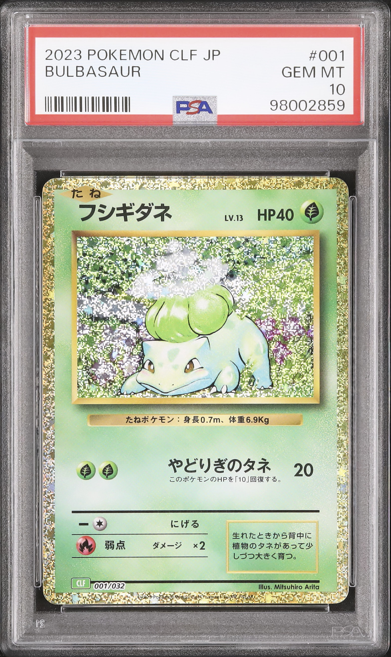 2023 フシギダネ PSA 10 - カルドバ