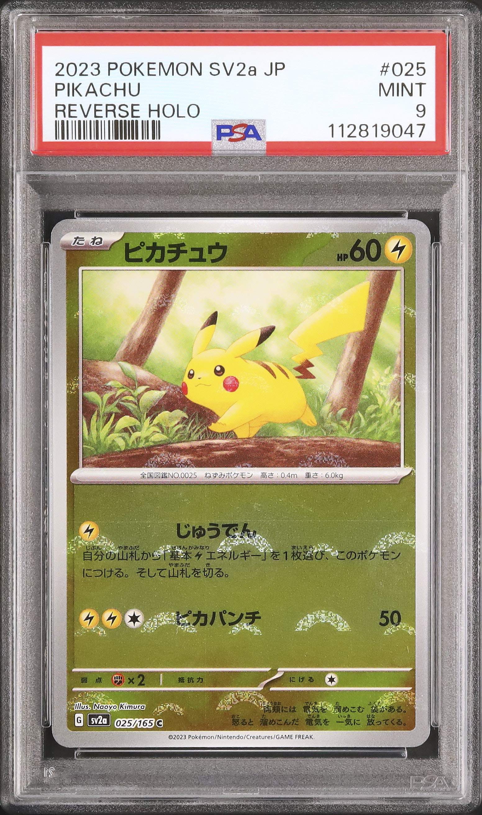 【ポケモンカード】ピカチュウ　XY ミラー　PSA9 2023 ピカチュウ PSA 9 ミラー - カルドバ