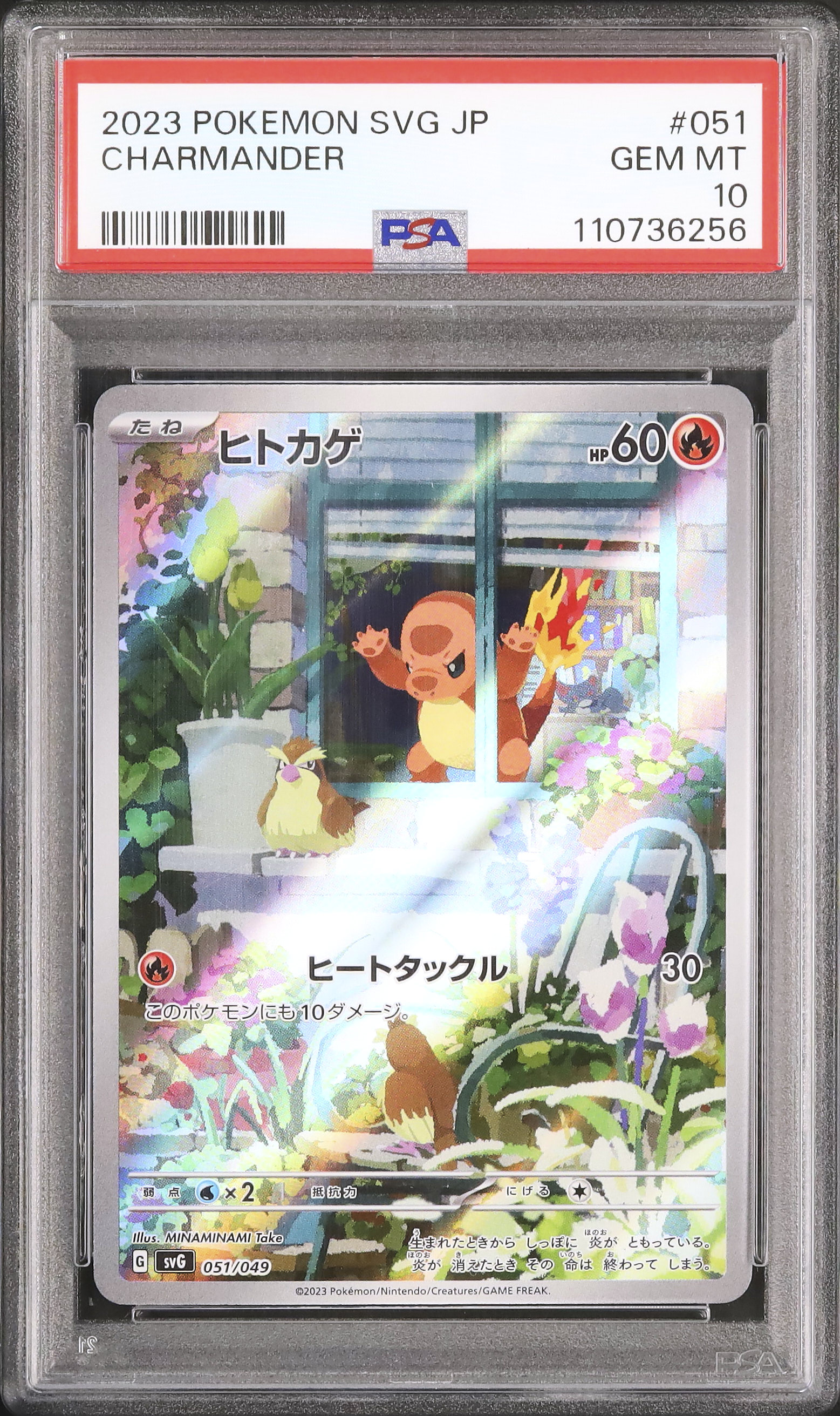 PSA10 2023 ポケモンカード ヒトカゲAR 2023 ヒトカゲ PSA 10 AR仕様 - カルドバ