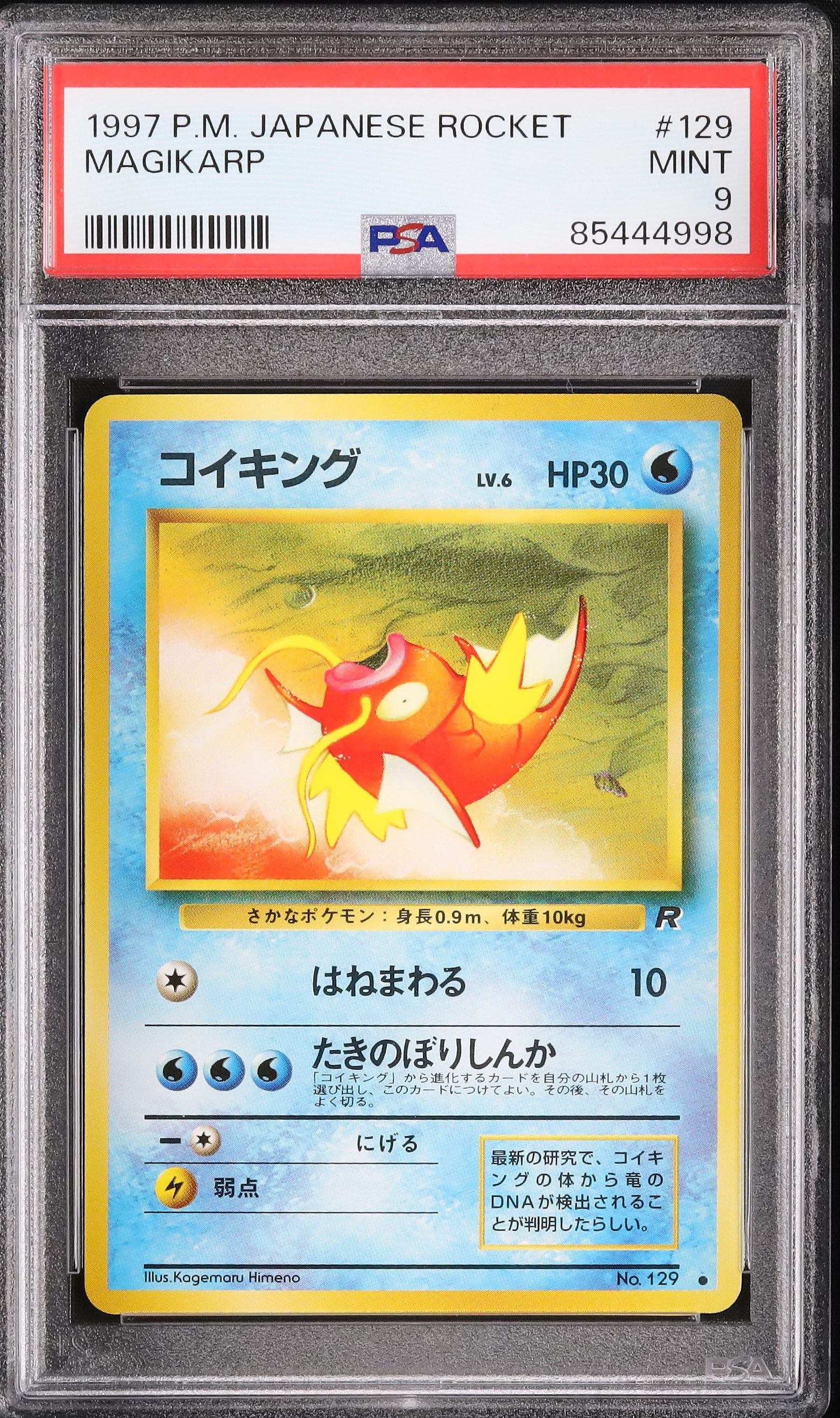 ポケカ Magikarp コイキング英語版 コイキング 海外版 英語版 Magikarp - 039/192 -【Card Chicken】