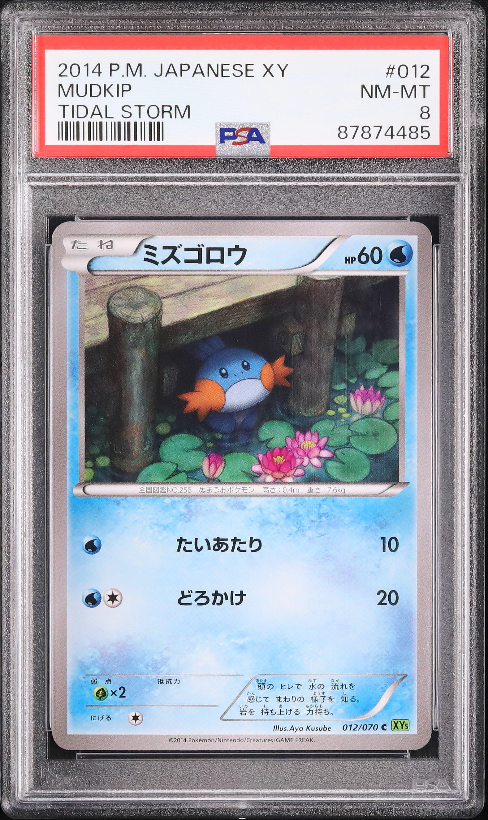 ミズゴロウ R団の逆襲 psa7 ゴールドスター ⭐︎ mudkip star