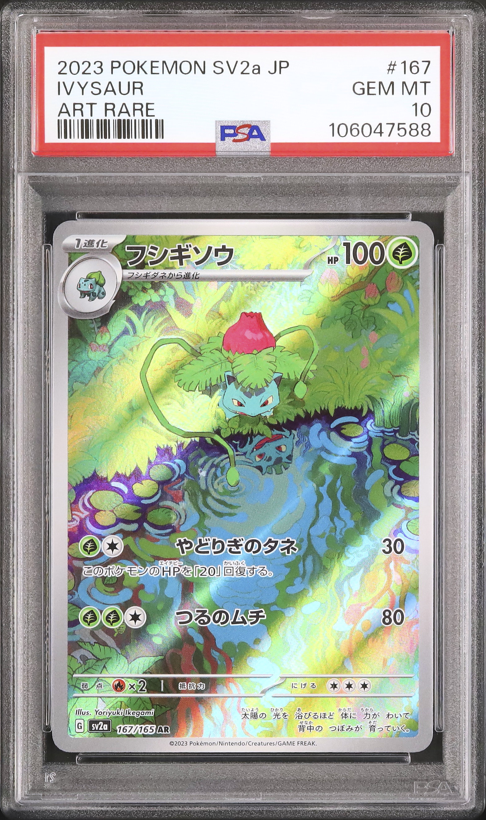 2023 フシギソウ PSA 10 - カルドバ
