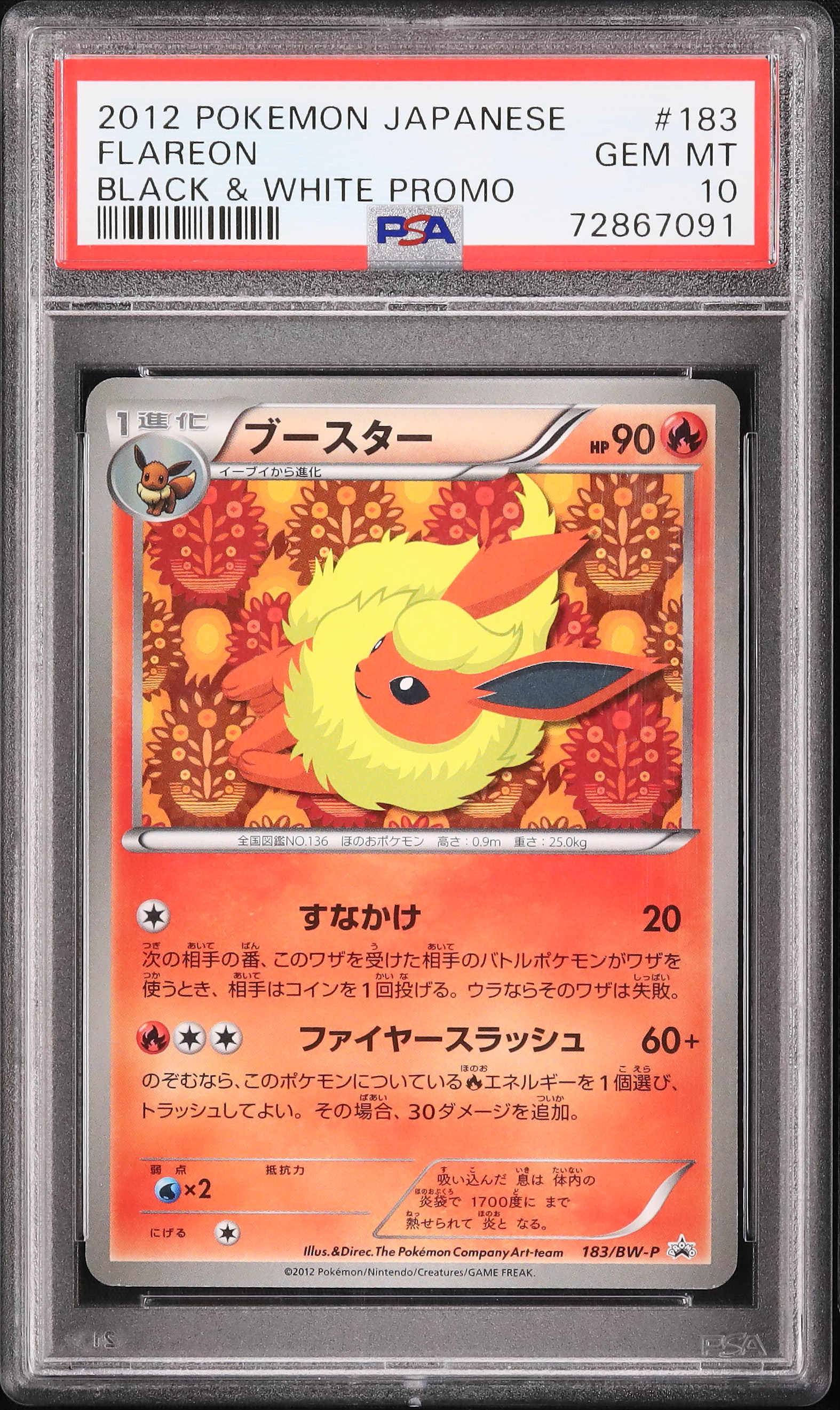 PSA10 ブースター プロモ イーブイコレクション BW 183 2012