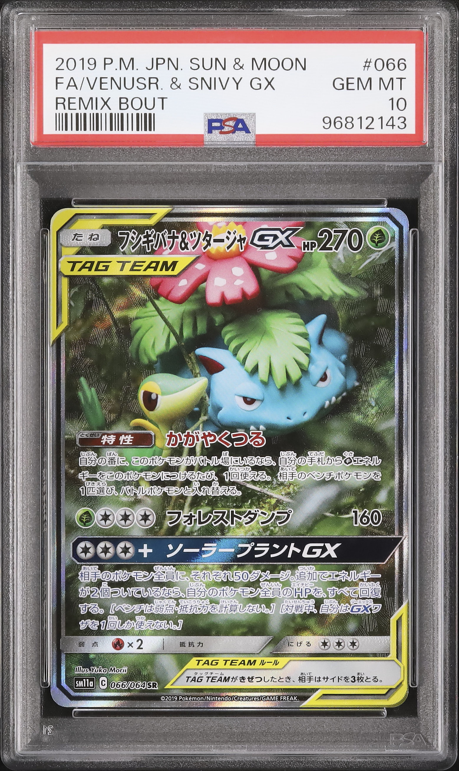 2019 フシギバナ&ツタージャGX PSA 10 スペシャルアート - カルドバ