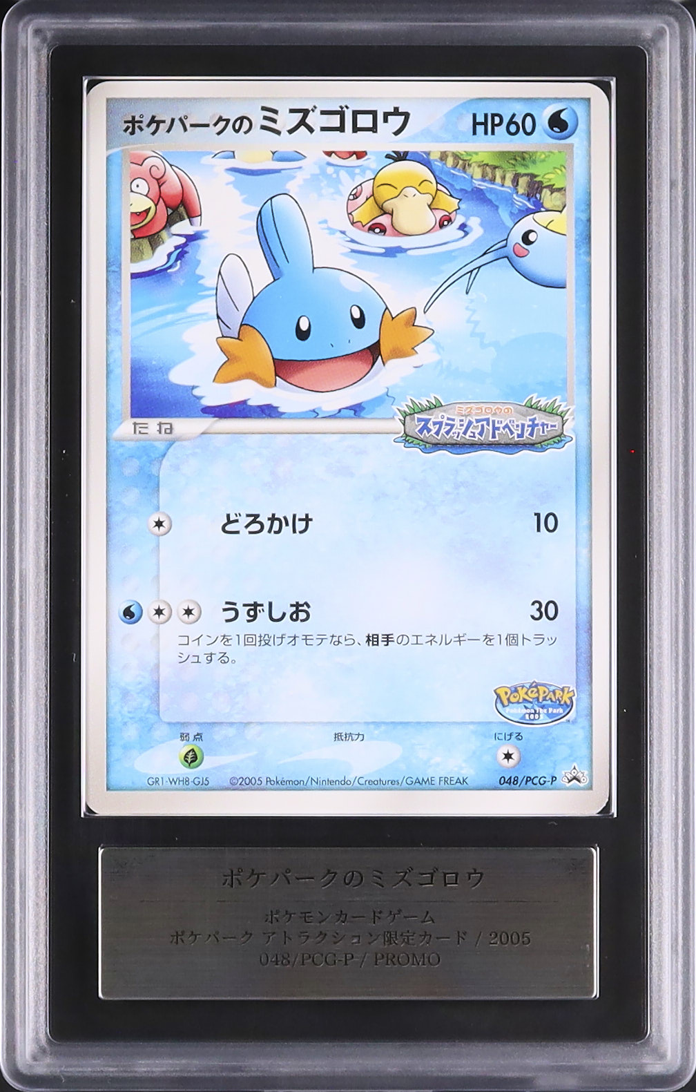 2005 PokéPark's Mudkip ARS 9 - Cardova Japan