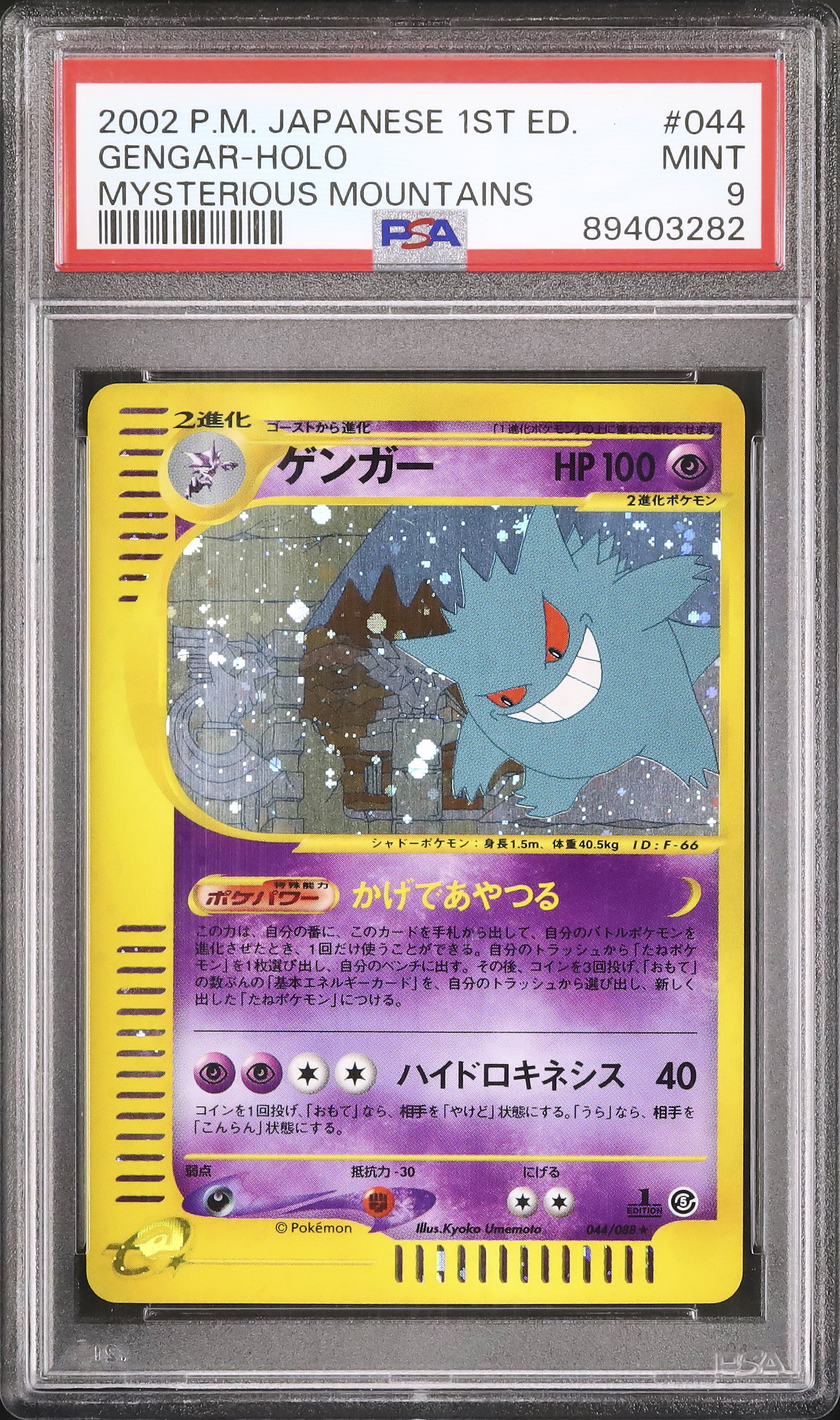 世界133枚 PSA10 マグマラシ quilava カードe 2002 70 2002 Gengar PSA 9 Holo - カルドバ