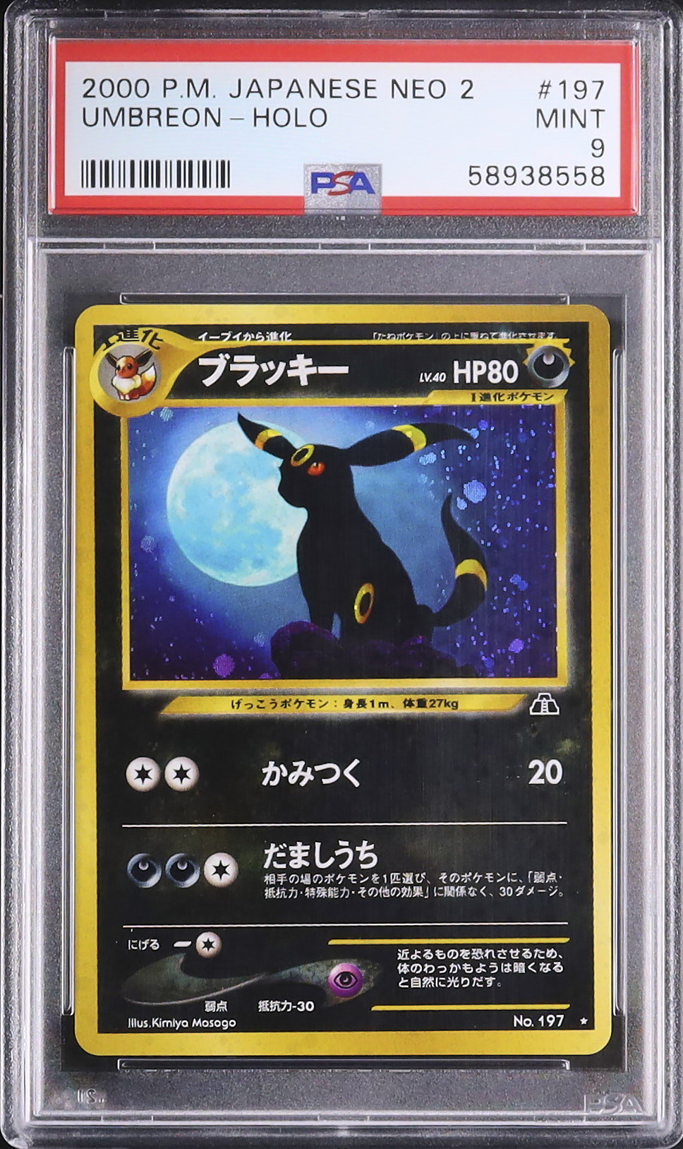 ポケモンカード　ブラッキー PSA 9 #197 2000年　旧裏　希少 2000 ブラッキー PSA 9 ホロ - カルドバ