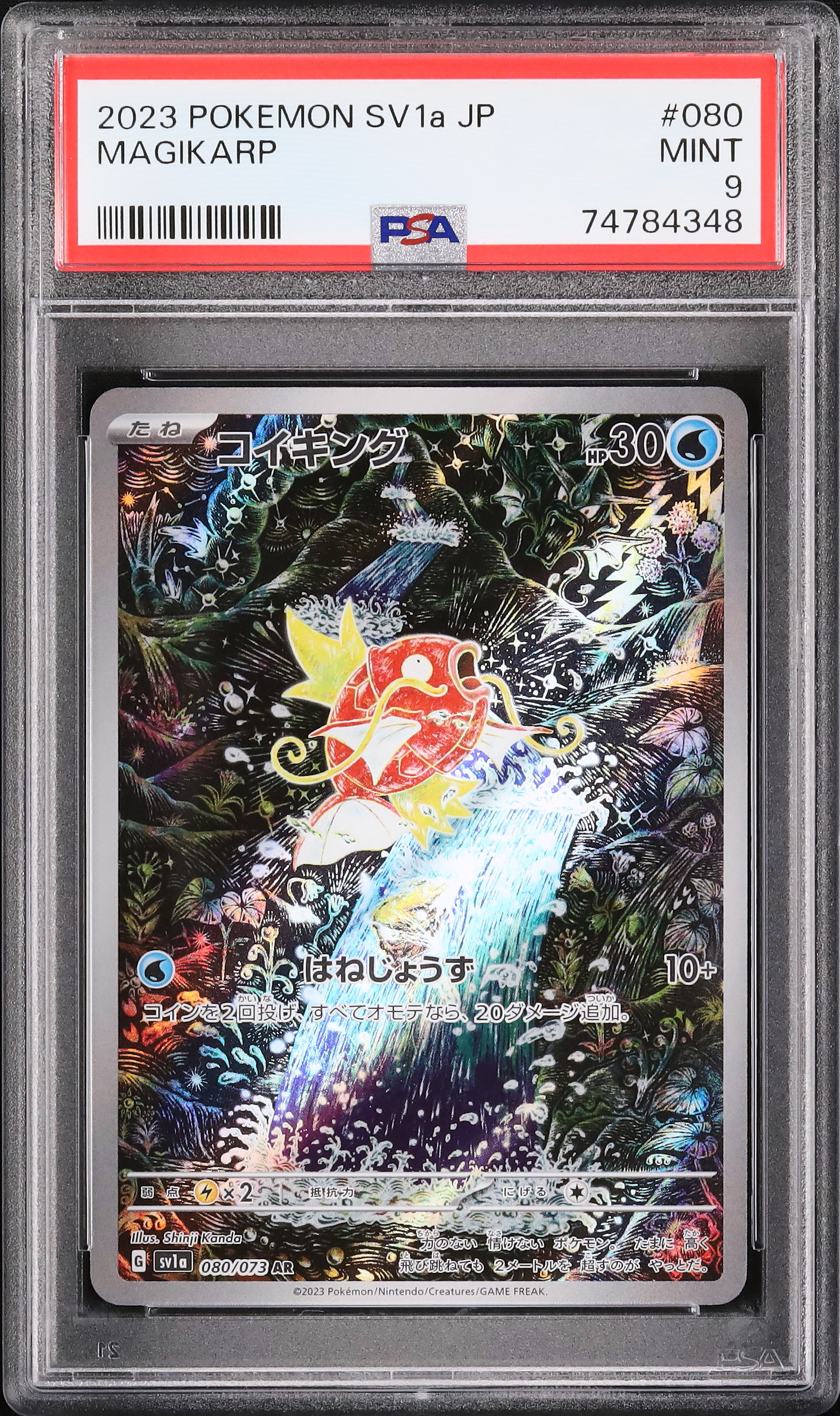 2023 コイキング PSA 9 - カルドバ
