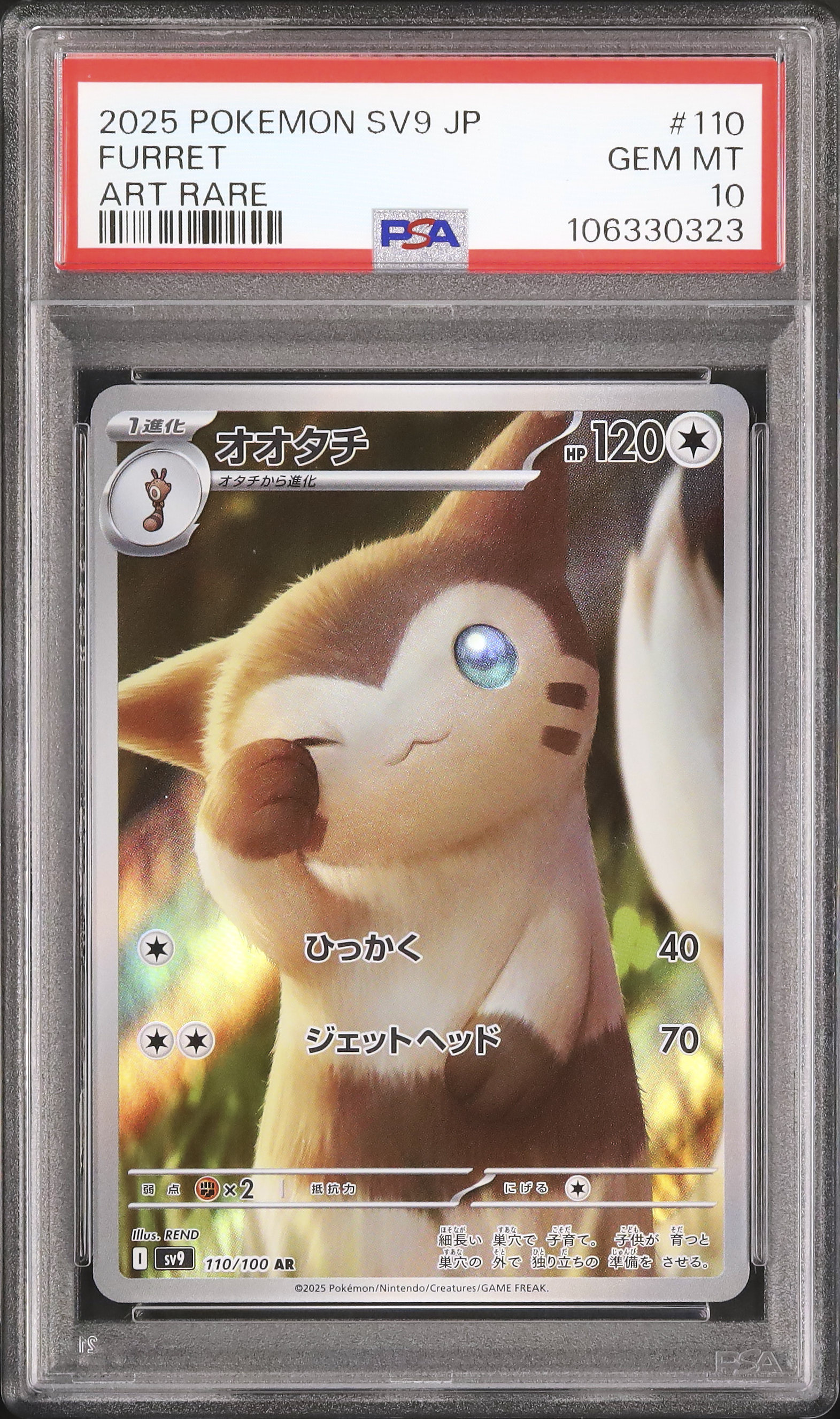 2025 Furret PSA 10 - Cardova Japan