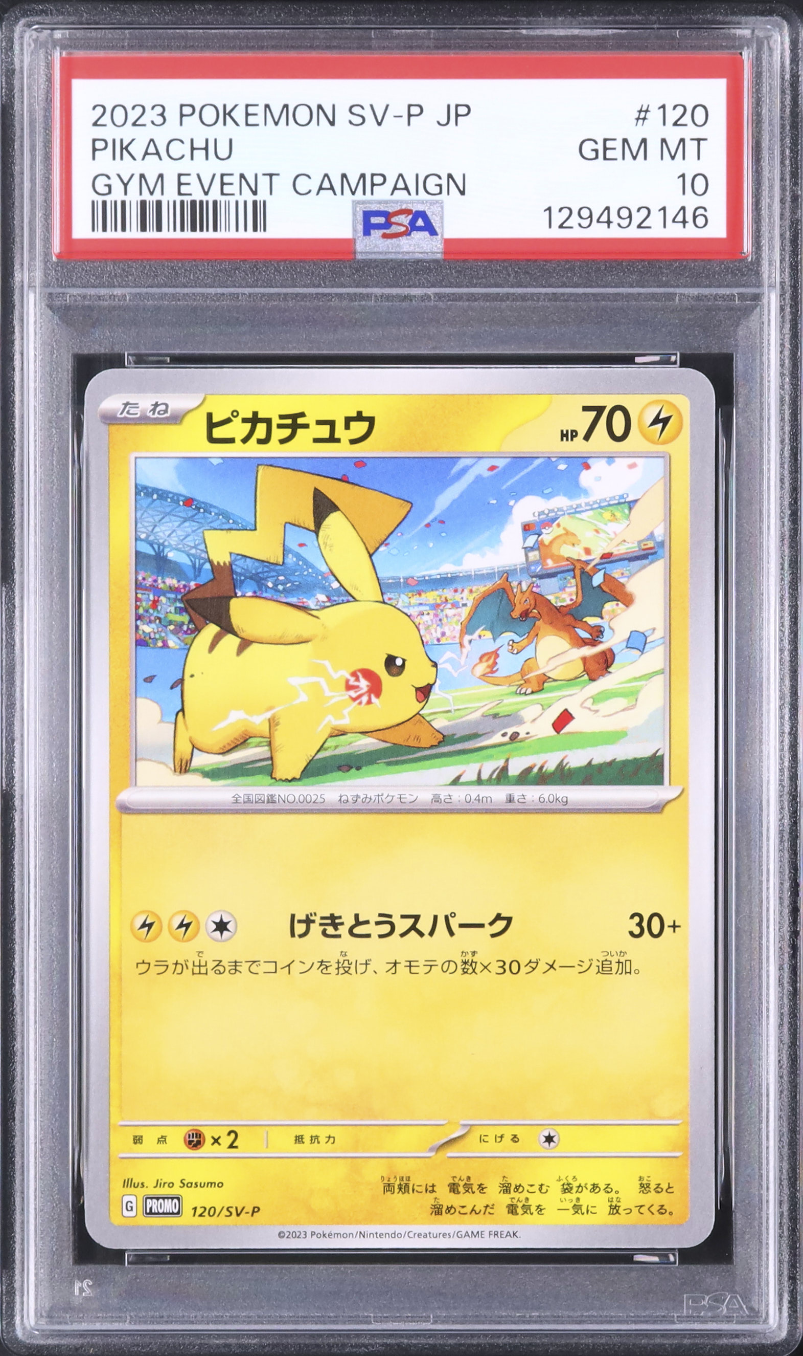 2023 ピカチュウ PSA 10 - カルドバ