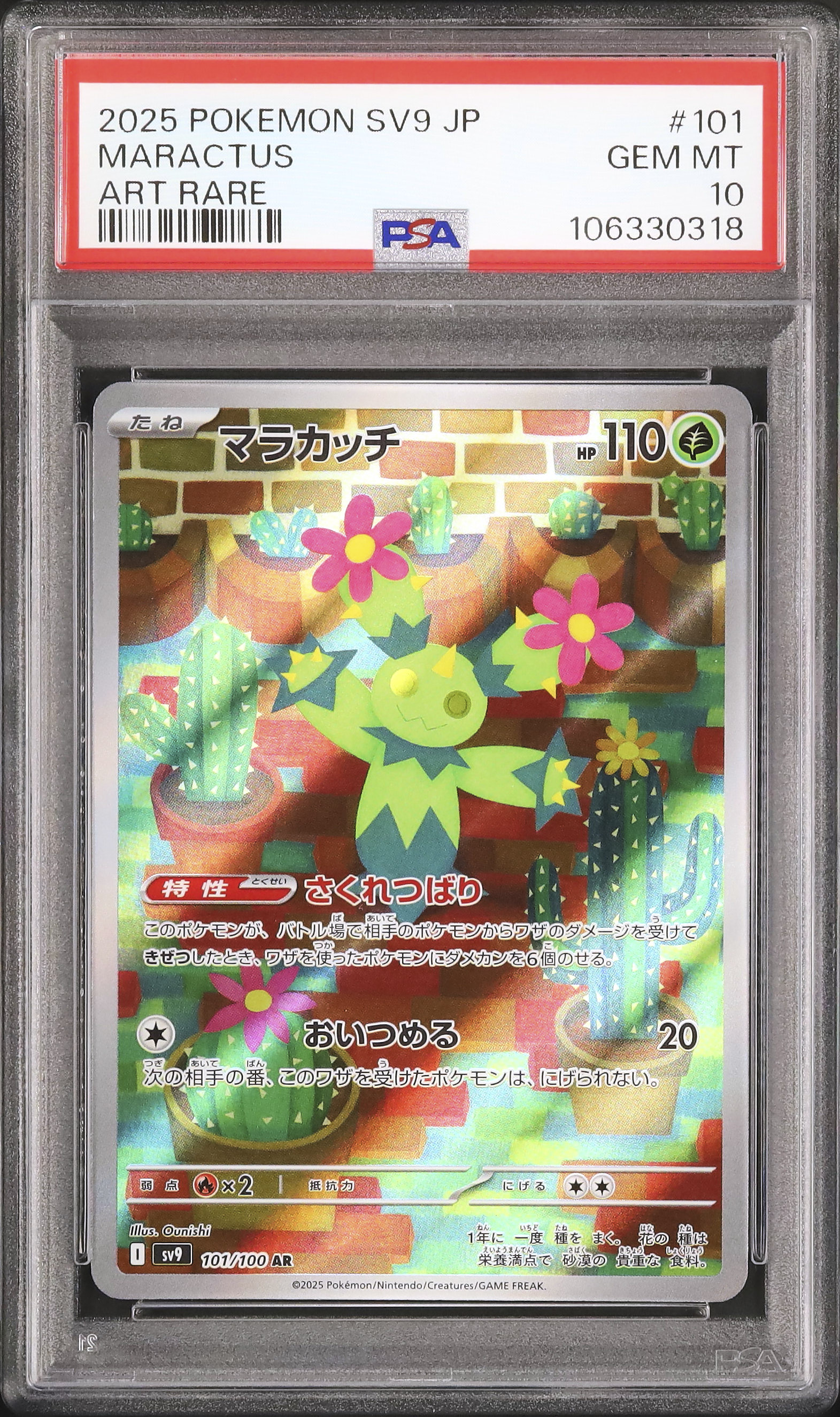 2025 マラカッチ PSA 10 - カルドバ