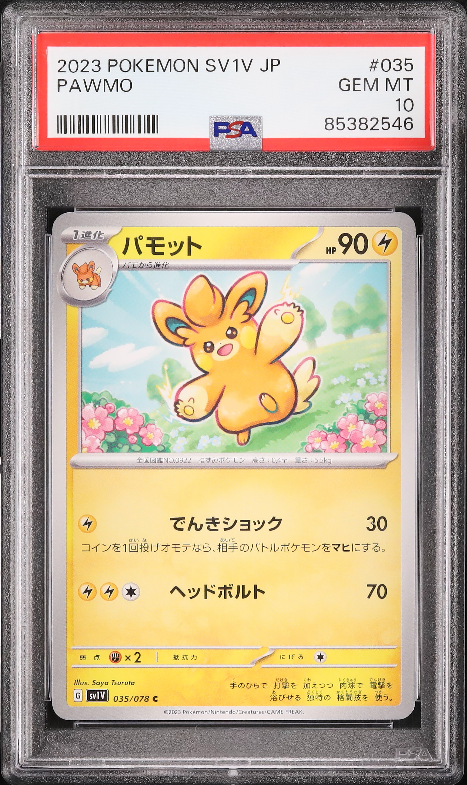 2023 パモット PSA 10 - カルドバ
