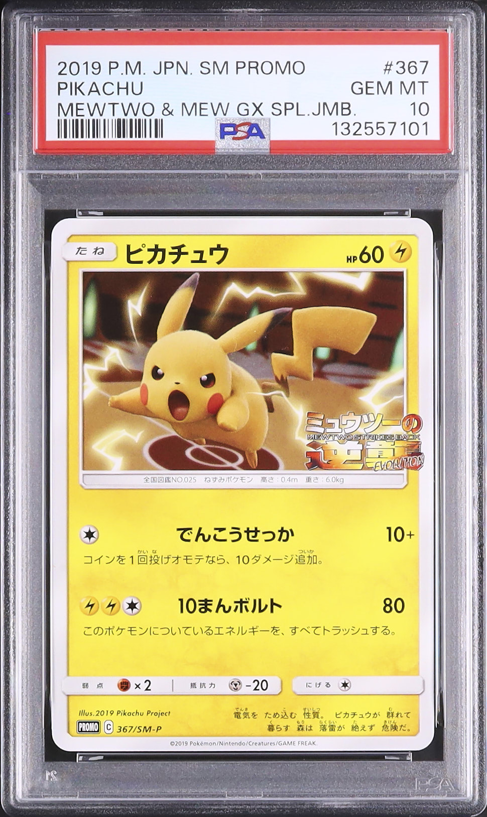 2019 ピカチュウ PSA 10 - カルドバ