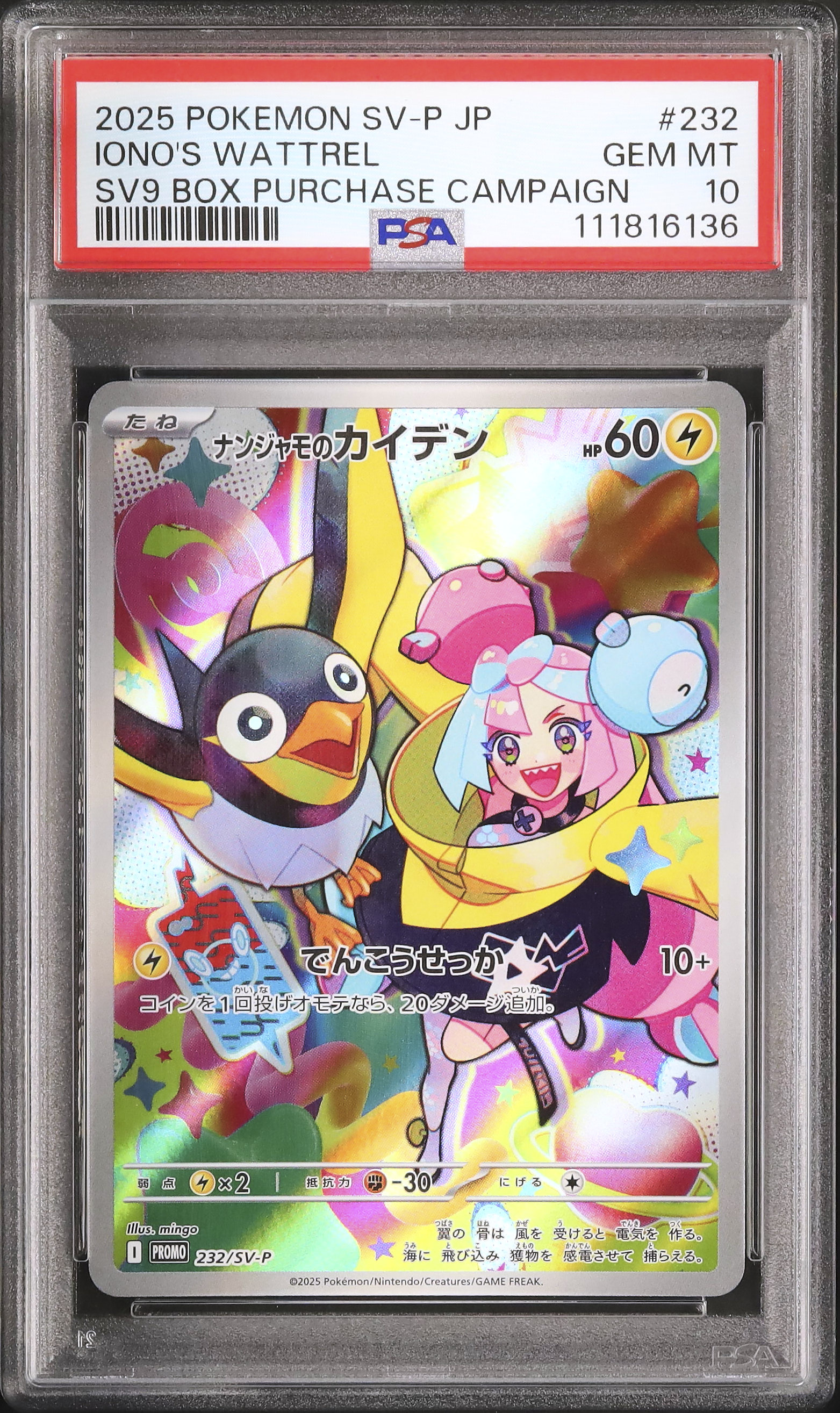 2025 ナンジャモのカイデン PSA 10 AR仕様 - カルドバ
