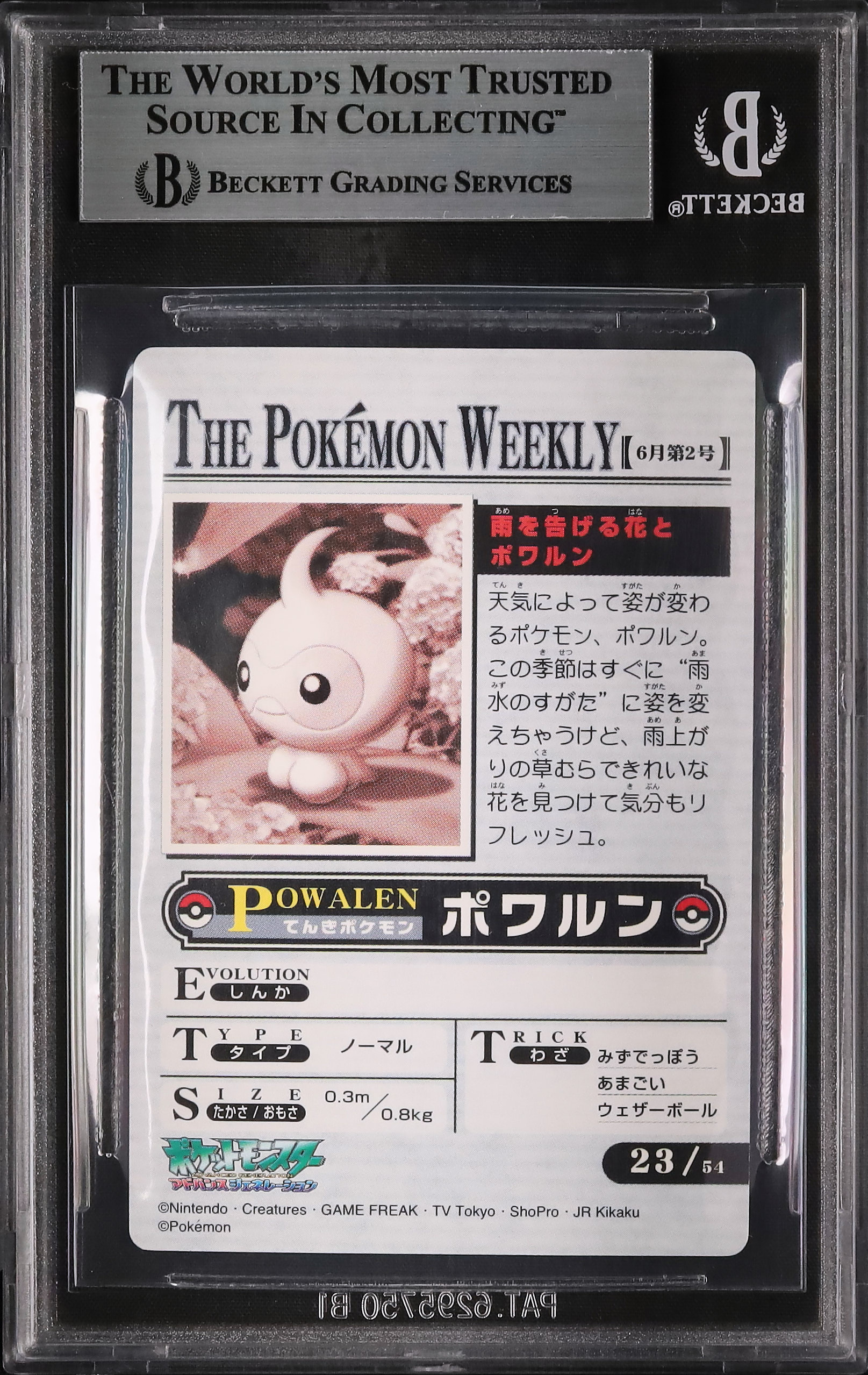 2005 ポワルン BGS 8.5 - カルドバ