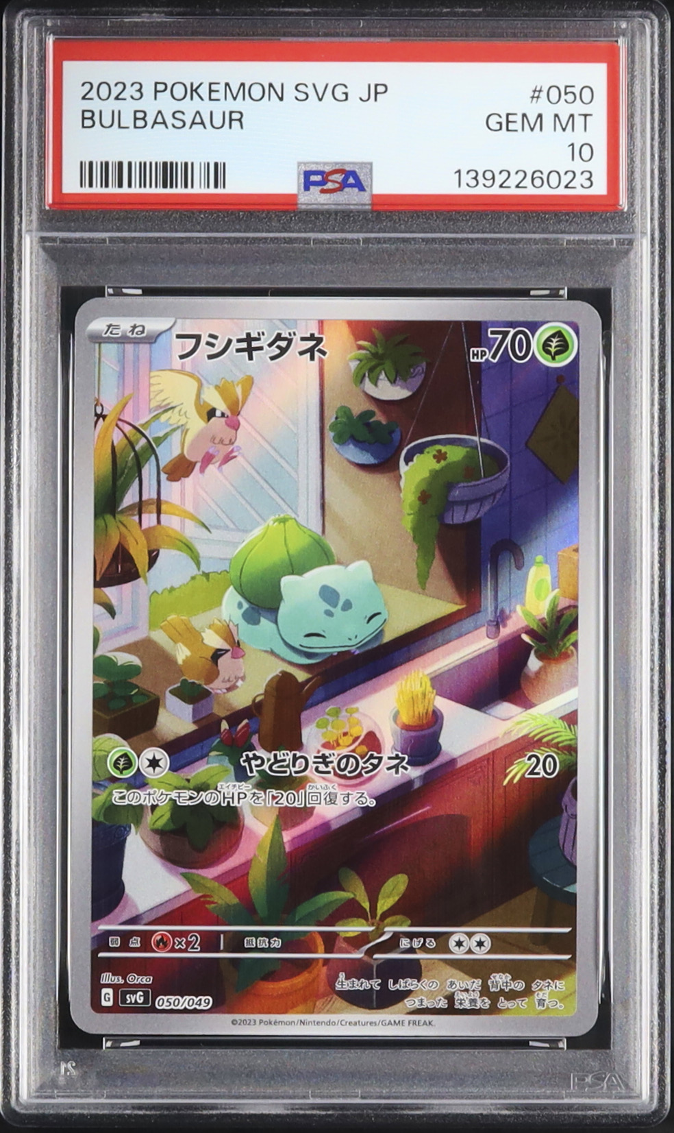 2023 フシギダネ PSA 10 AR仕様 - カルドバ