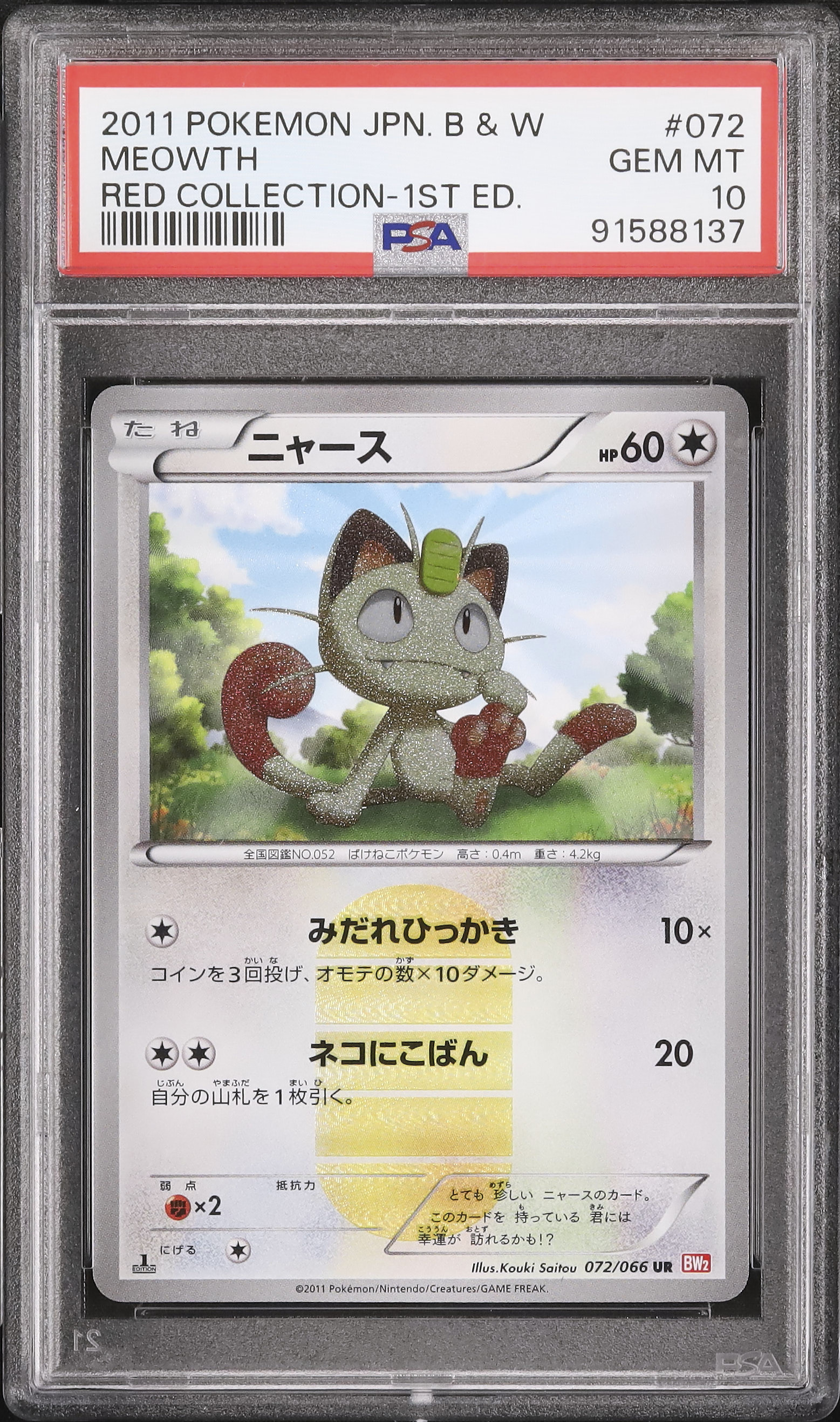 ニャースprom AR PSA ニャースprom AR PSA