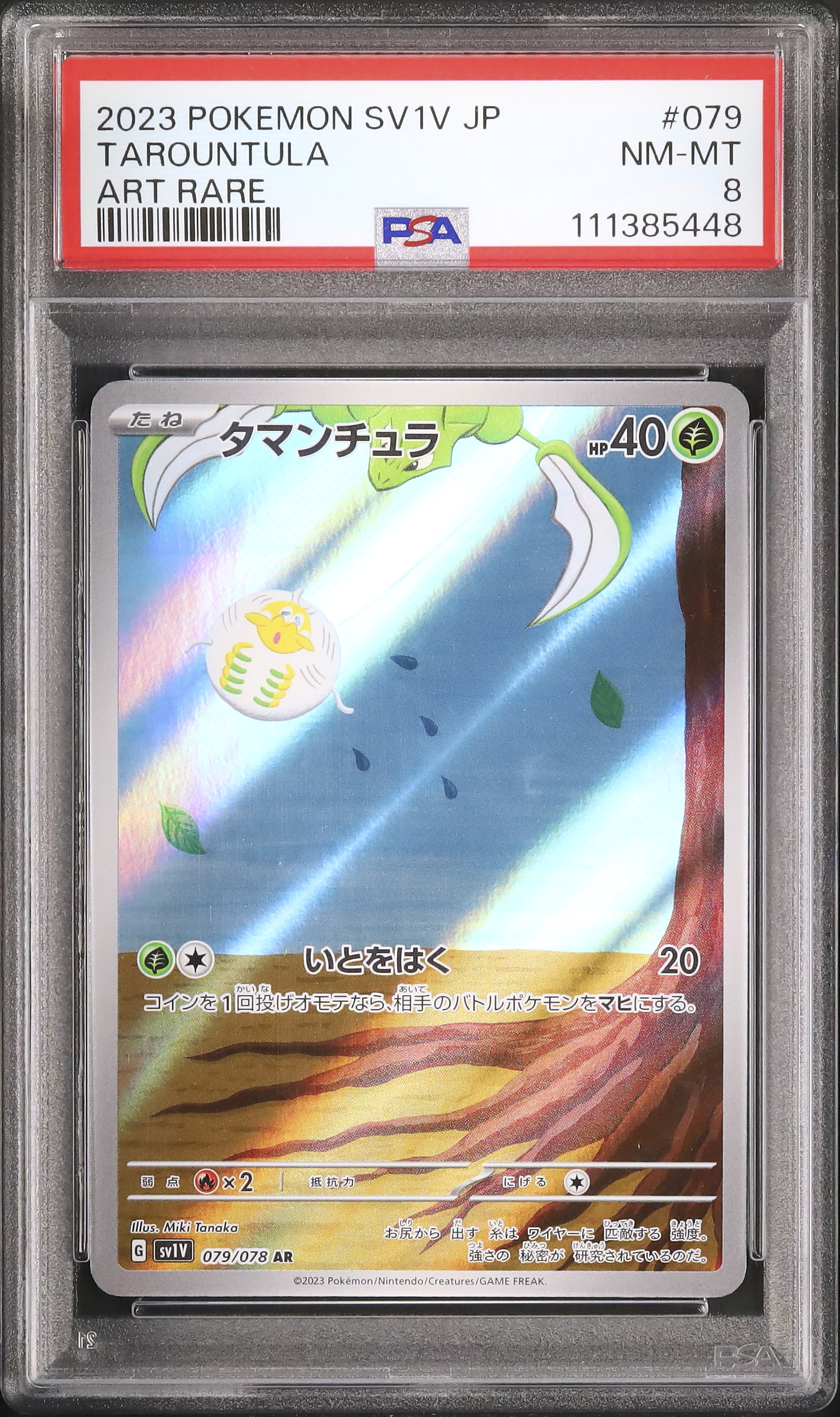 MTG 森 α PSA8 ミントモール / MINT GAMES MTG(東日本橋) / 【FDN】【JPN】《森