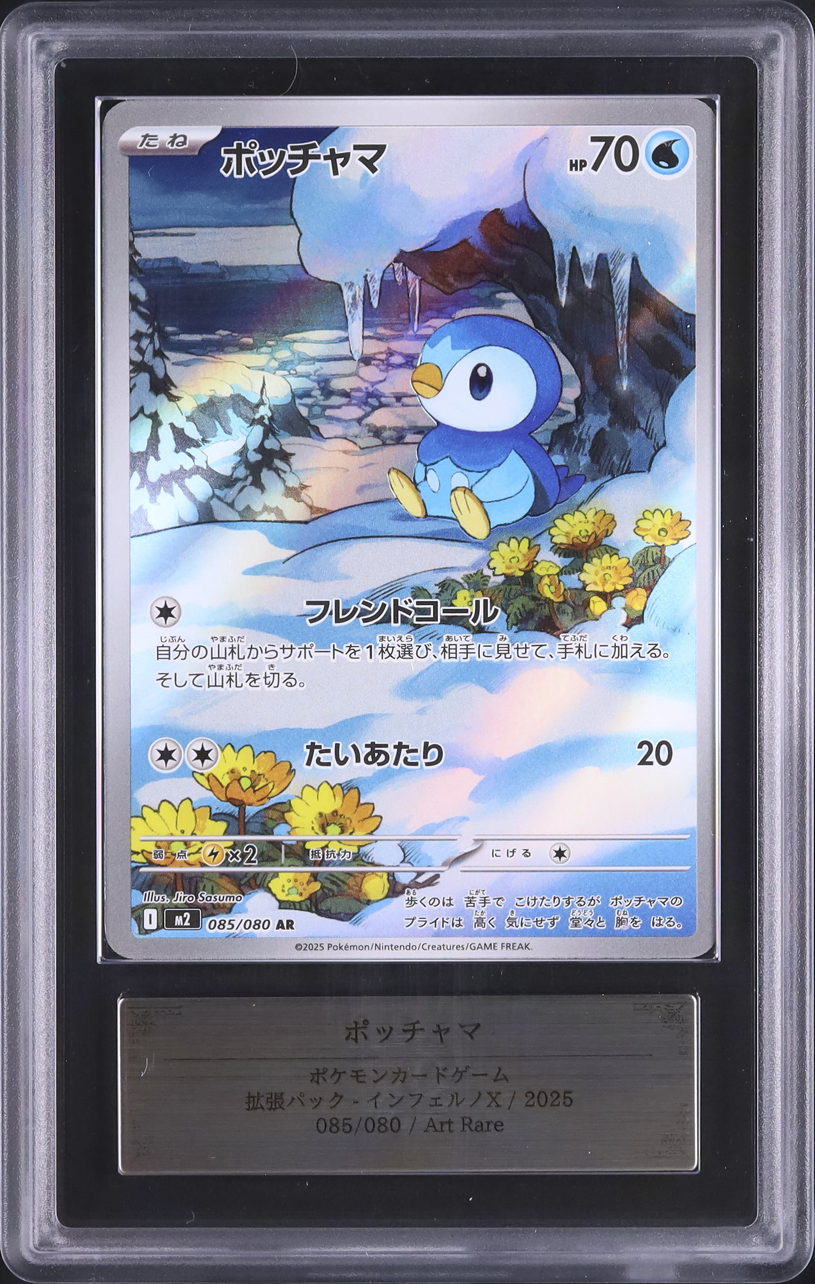 2025 ポッチャマ ARS 10 - カルドバ